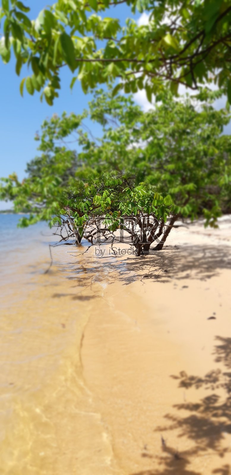 天然美女照片摄影图片
