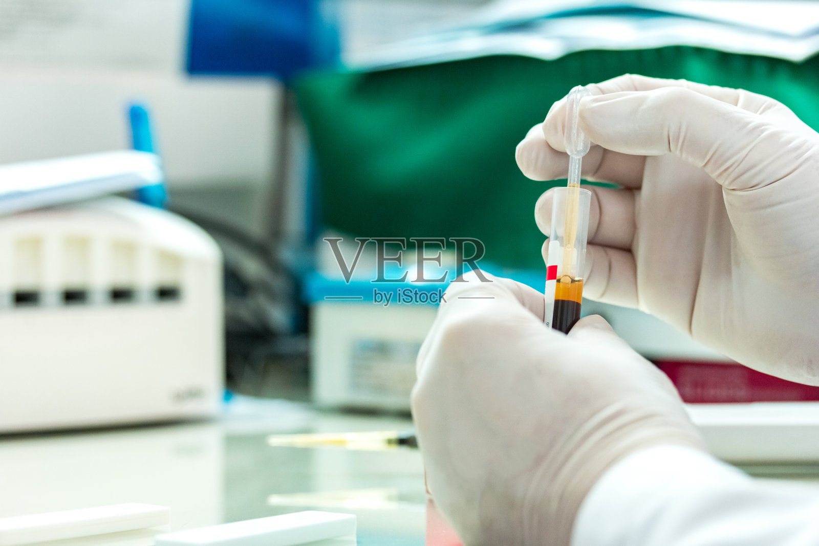 手戴技术人员乳胶手套，手持血液试管，用吸管从血液试管中吸取血清分离。照片摄影图片