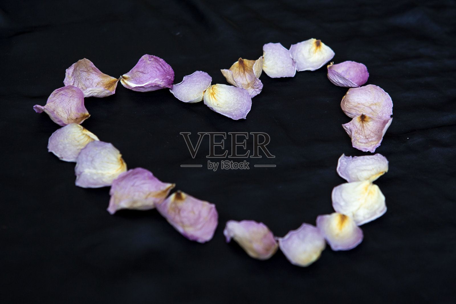 干花瓣心黑丝照片摄影图片