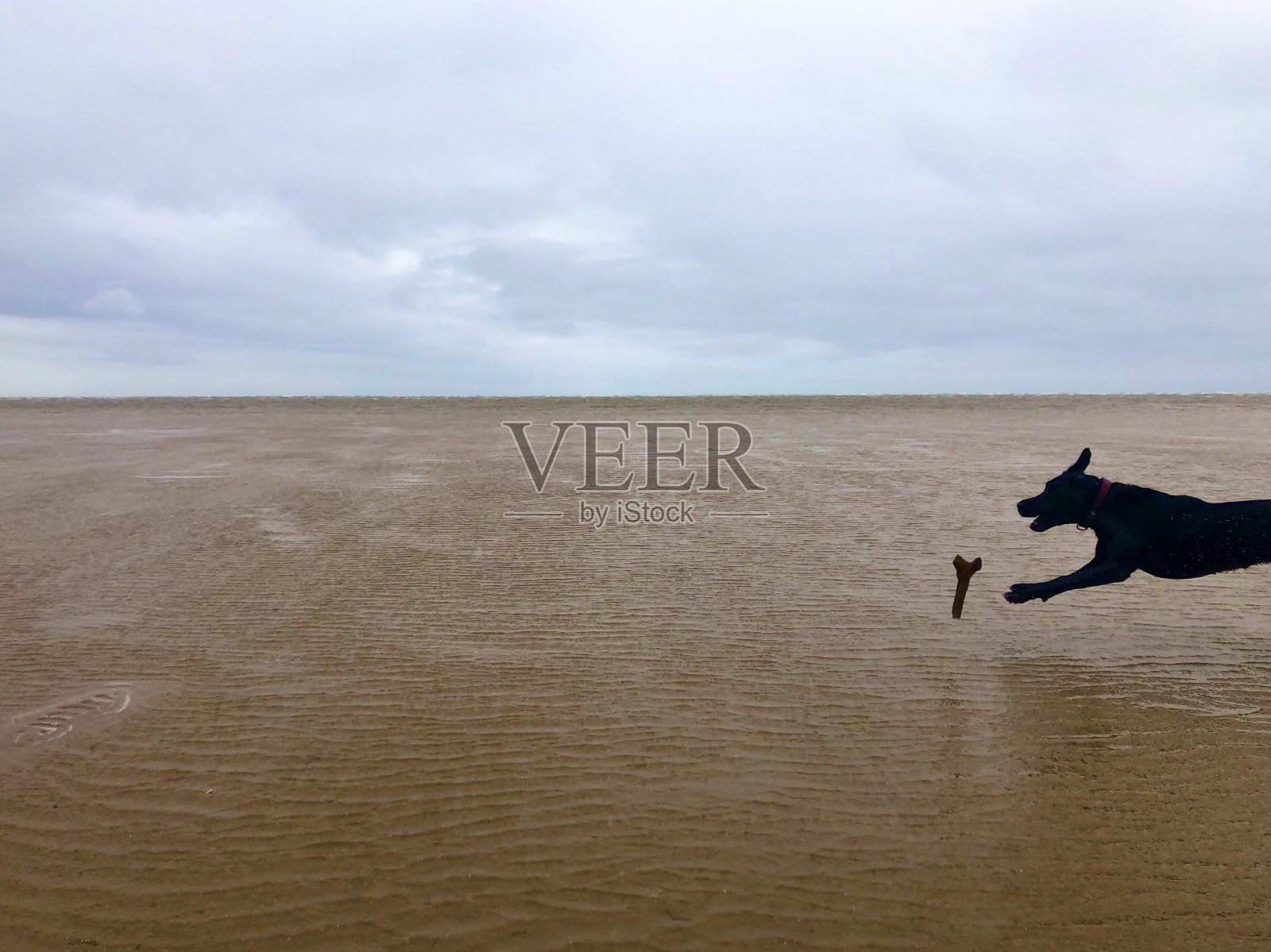 我来了，我要去拿照片摄影图片