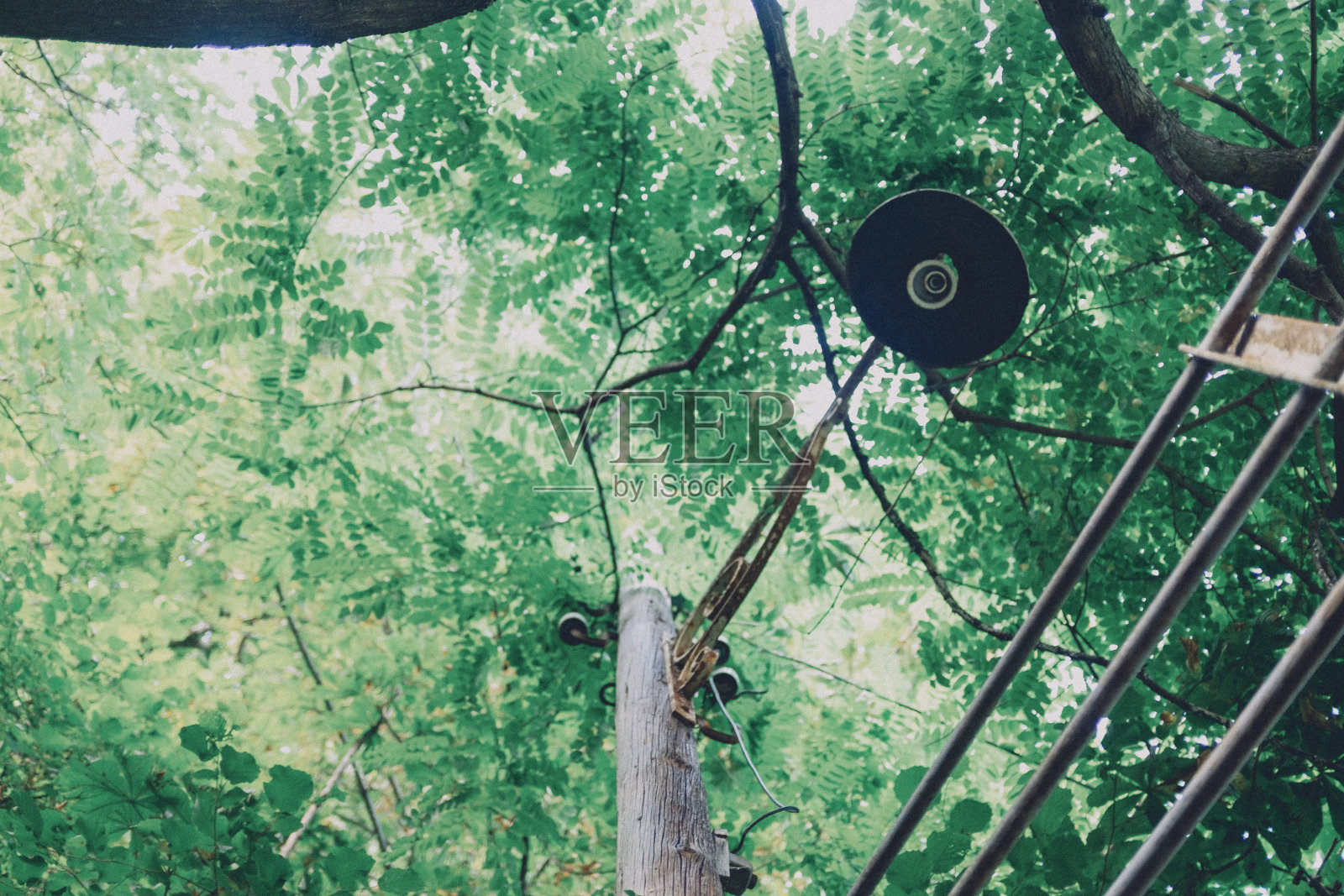 瑞士蒙特勒附近一个废弃的缆车车站，杂草丛生的灯柱照片摄影图片