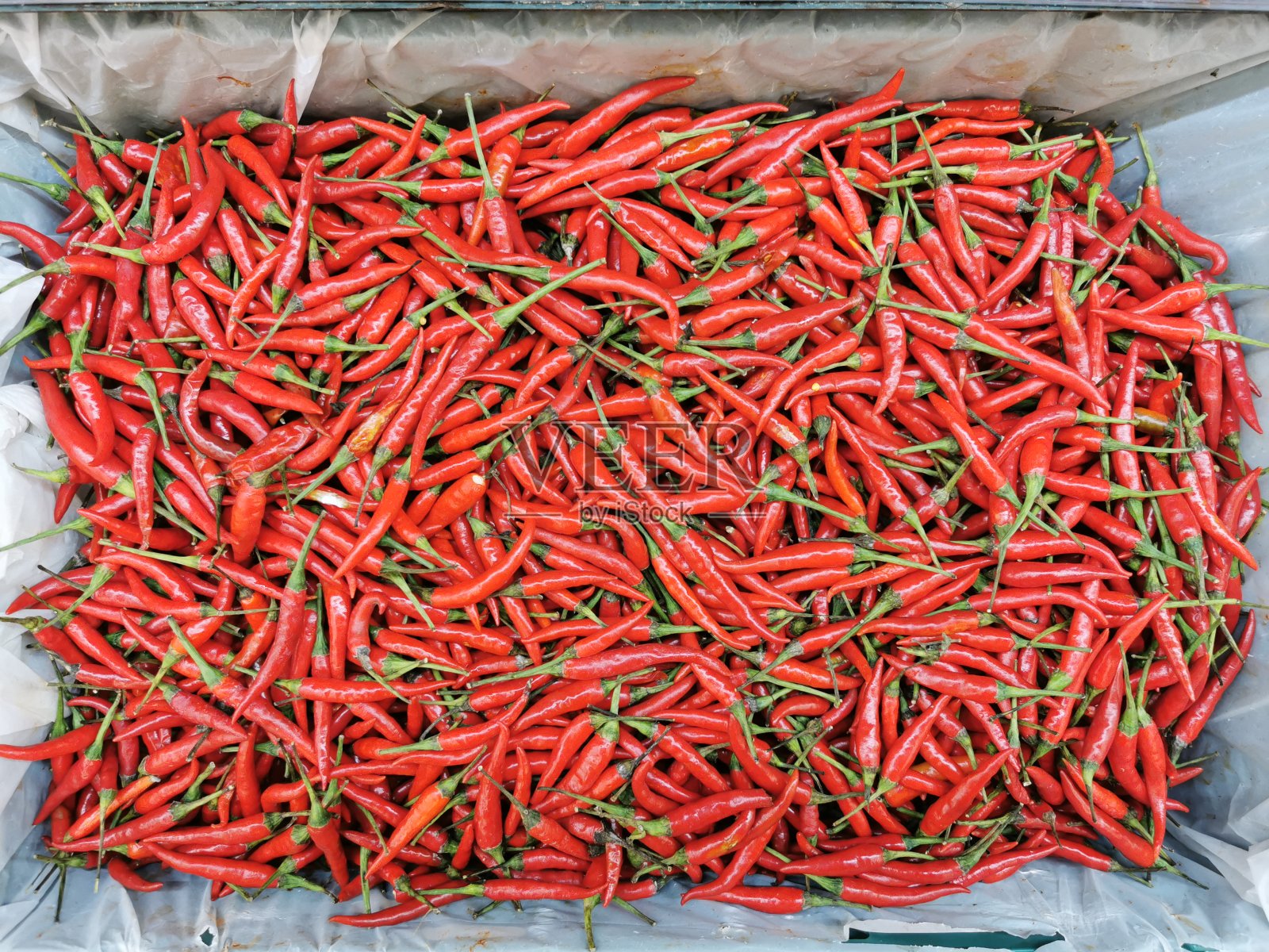 辣椒照片摄影图片