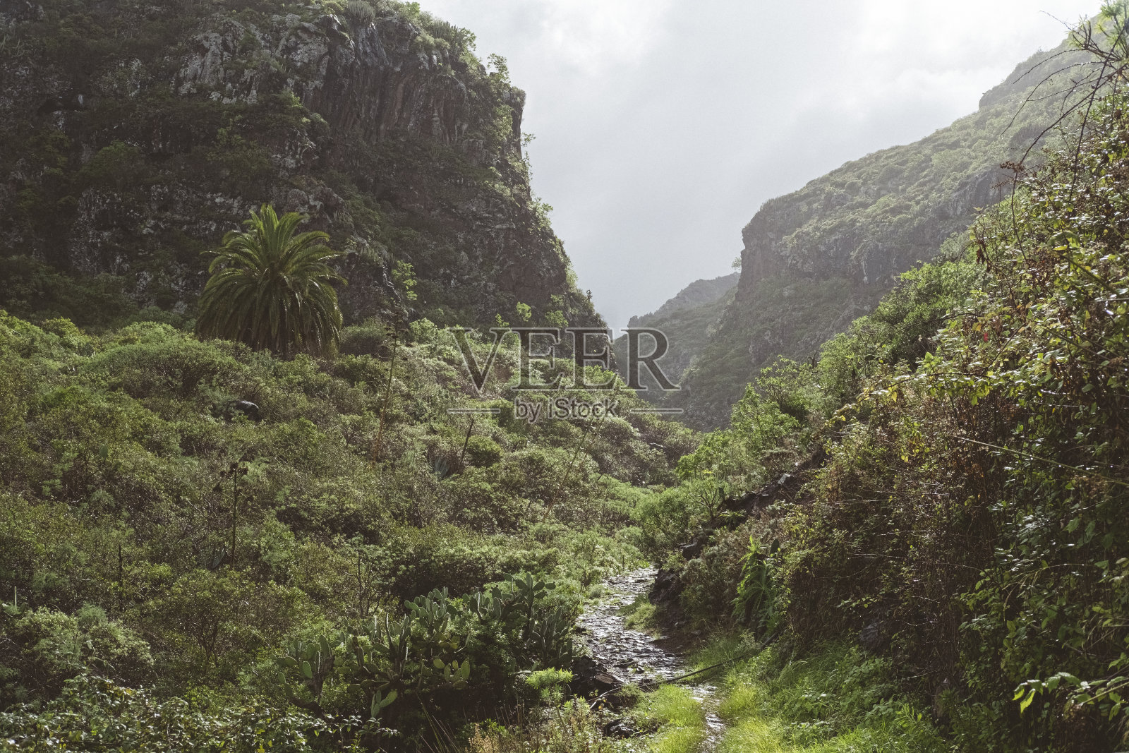 风景峡谷或巴兰科在特内里费岛，加那利群岛照片摄影图片