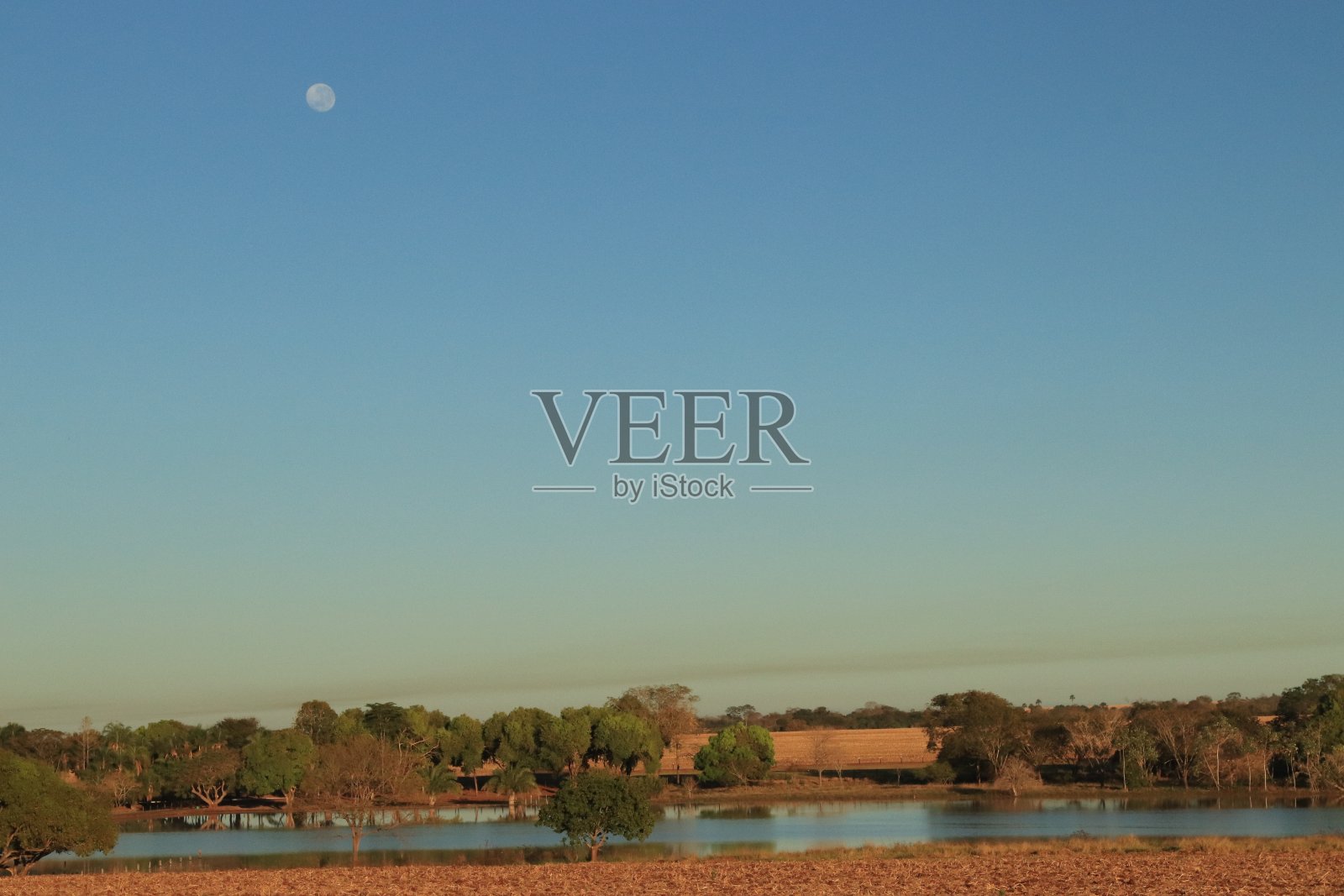 树木，天空和湖泊的场景照片摄影图片