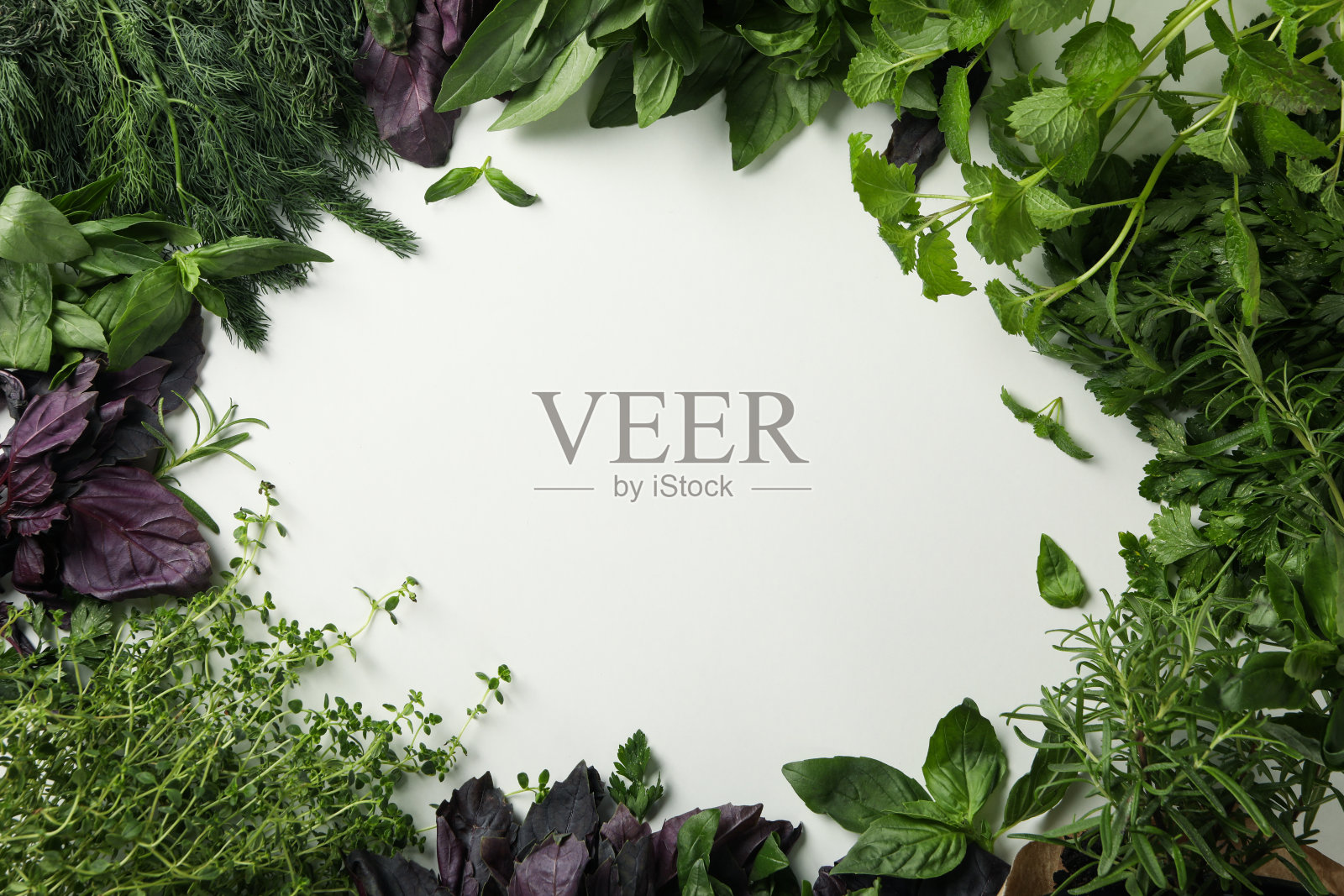 不同的草药在白色的背景，文字的空间照片摄影图片