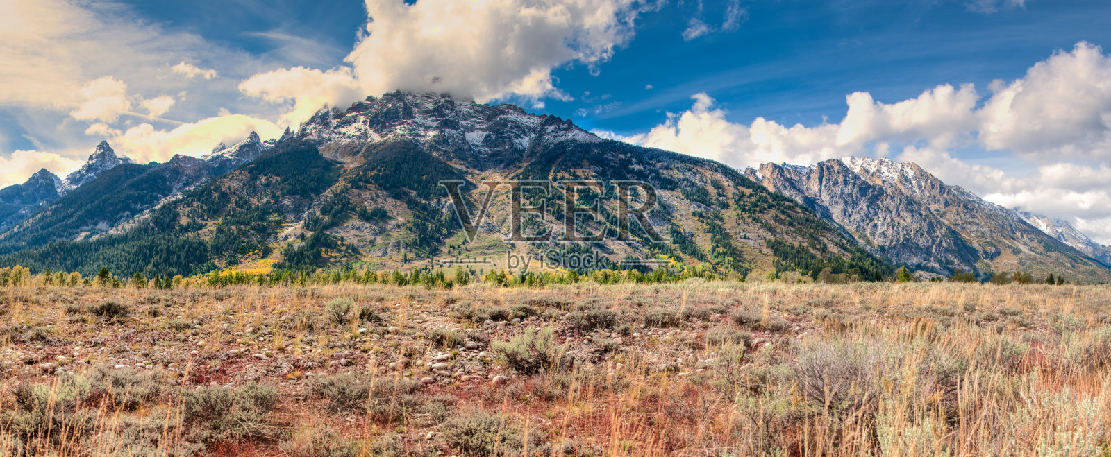 秋天在公园里散步照片摄影图片