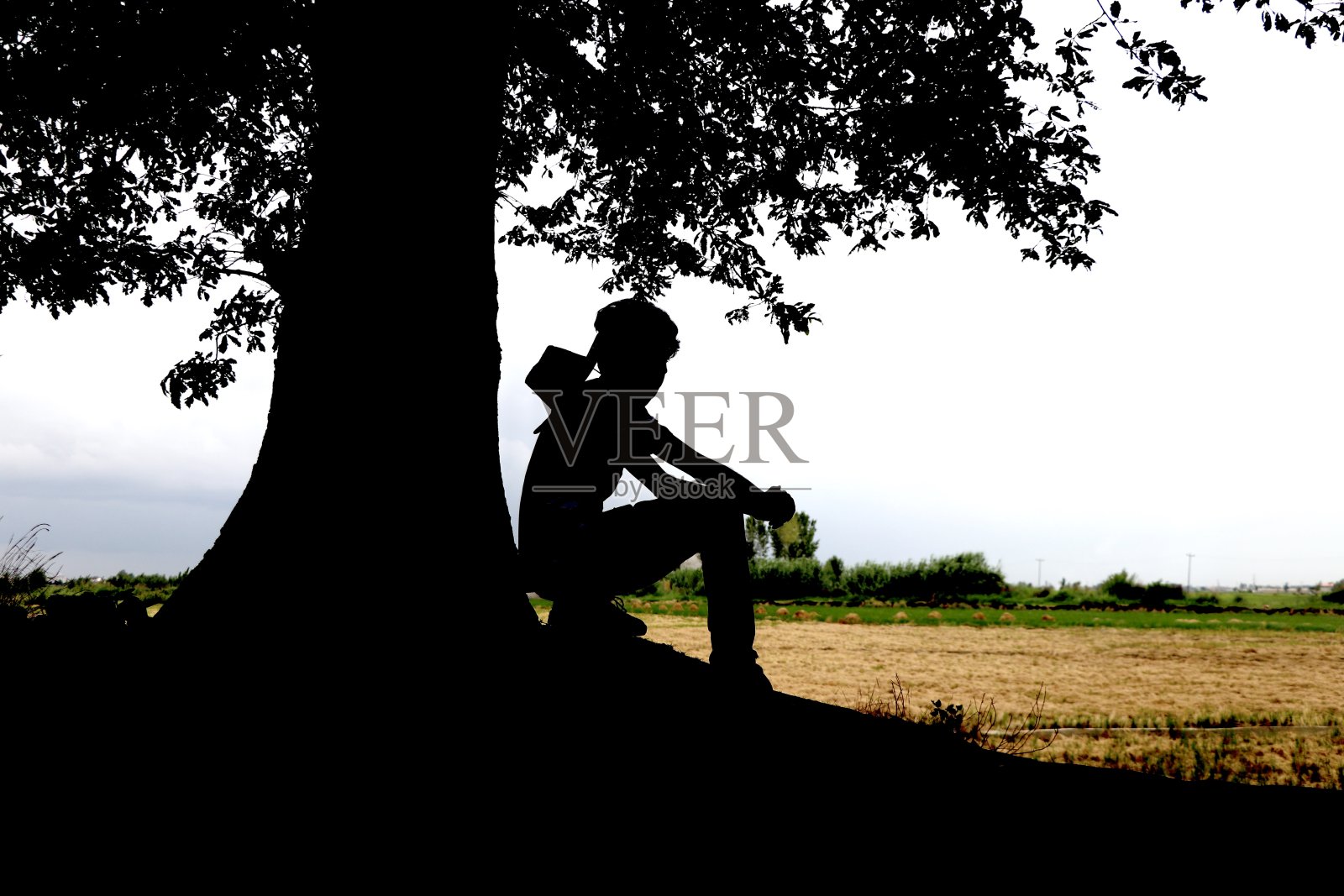 在田野边看植物的年轻男子轮廓照片摄影图片