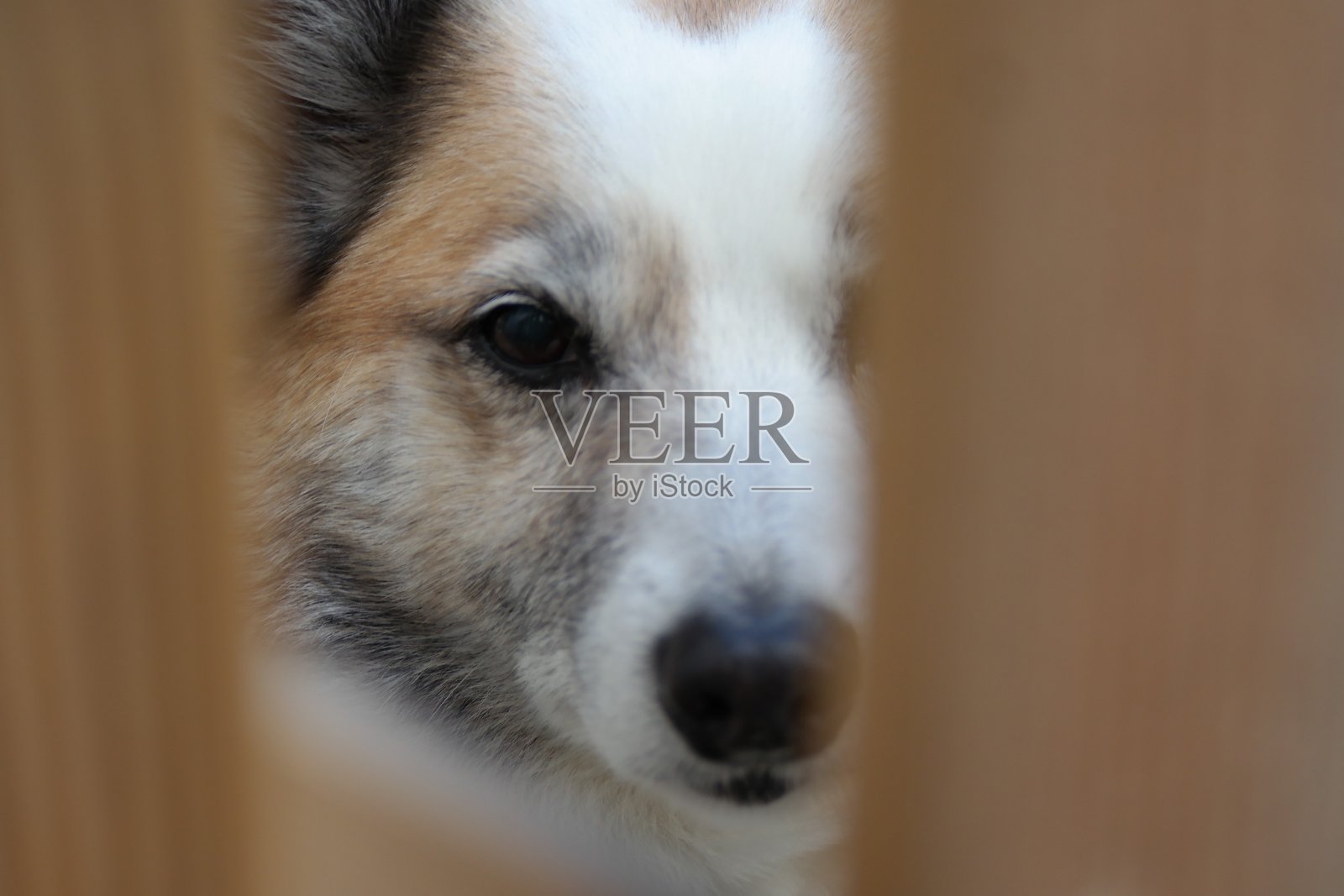 岛亨德照片摄影图片