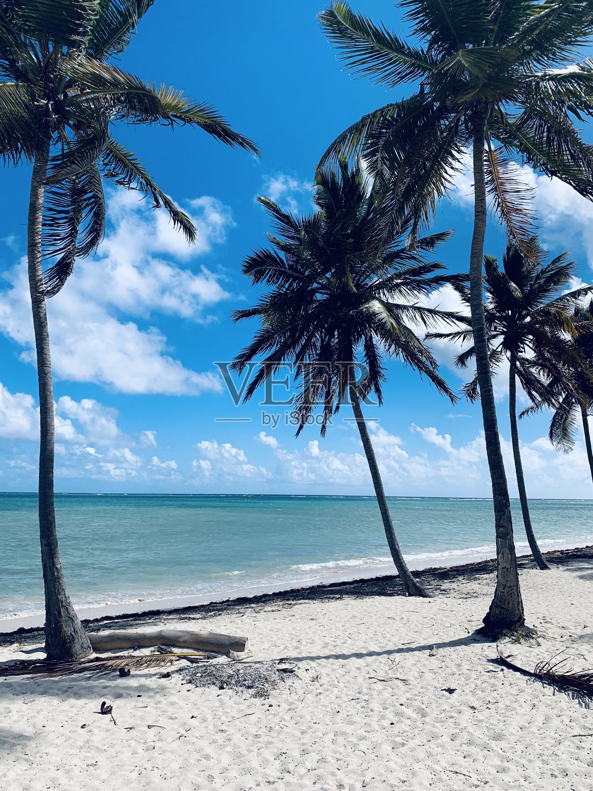 蓬塔卡纳，多米尼加共和国照片摄影图片