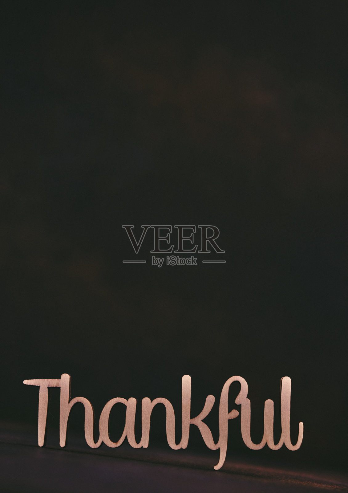 感恩节背景与感恩的信息照片摄影图片