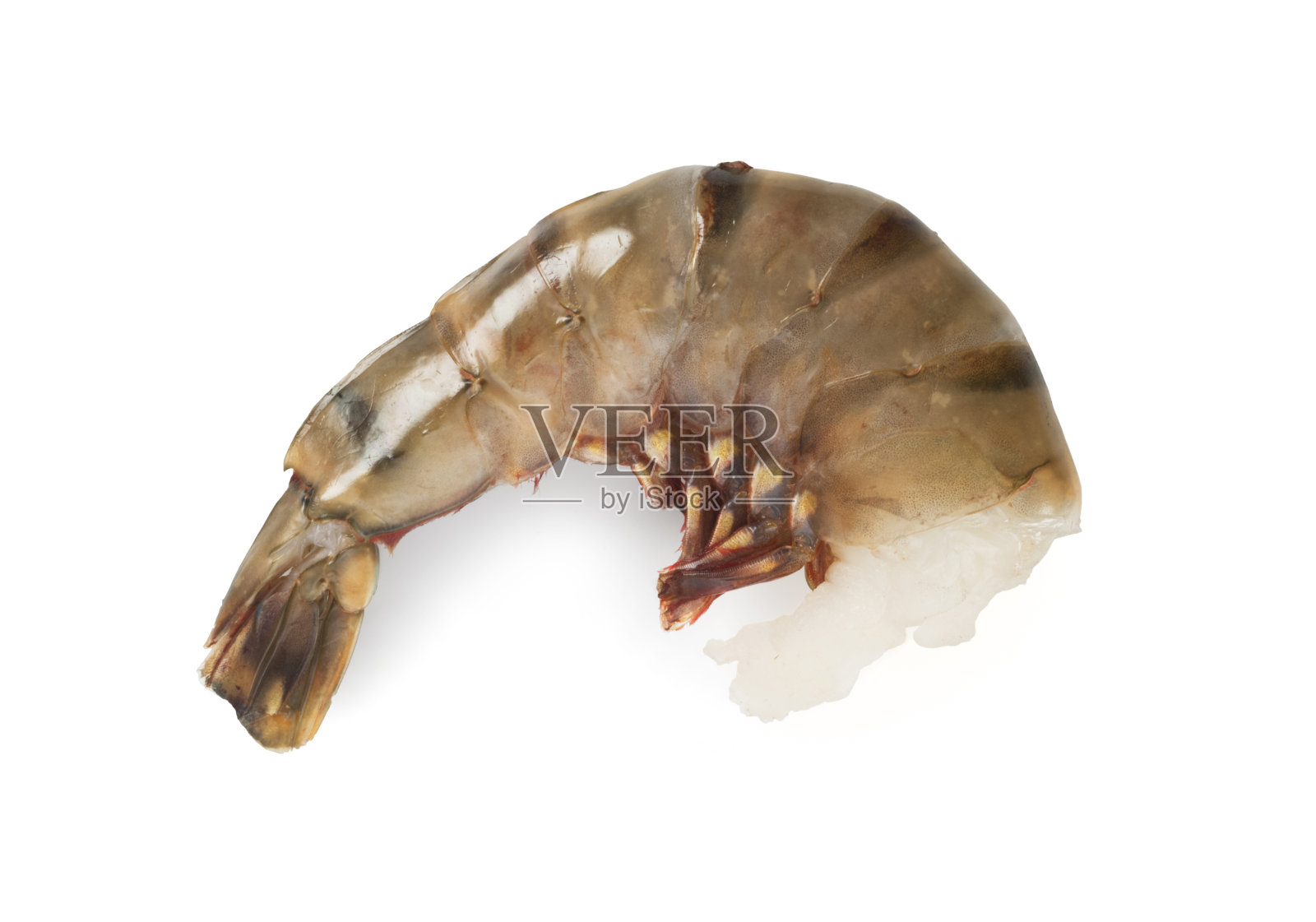 生虎虾照片摄影图片