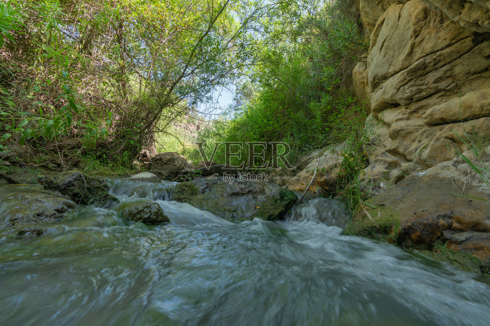 河水顺流而下，周围有植被照片摄影图片
