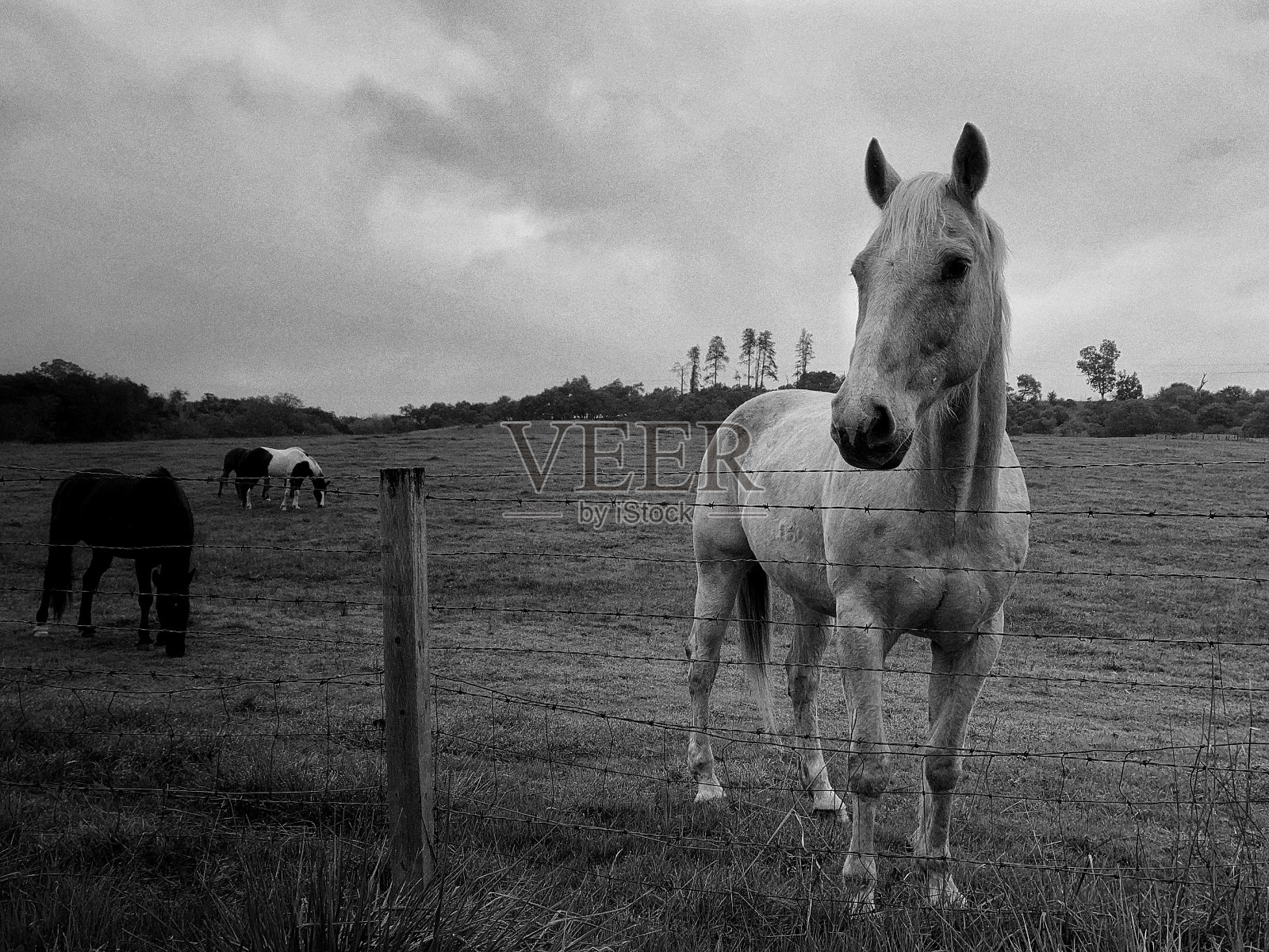 耐心照片摄影图片