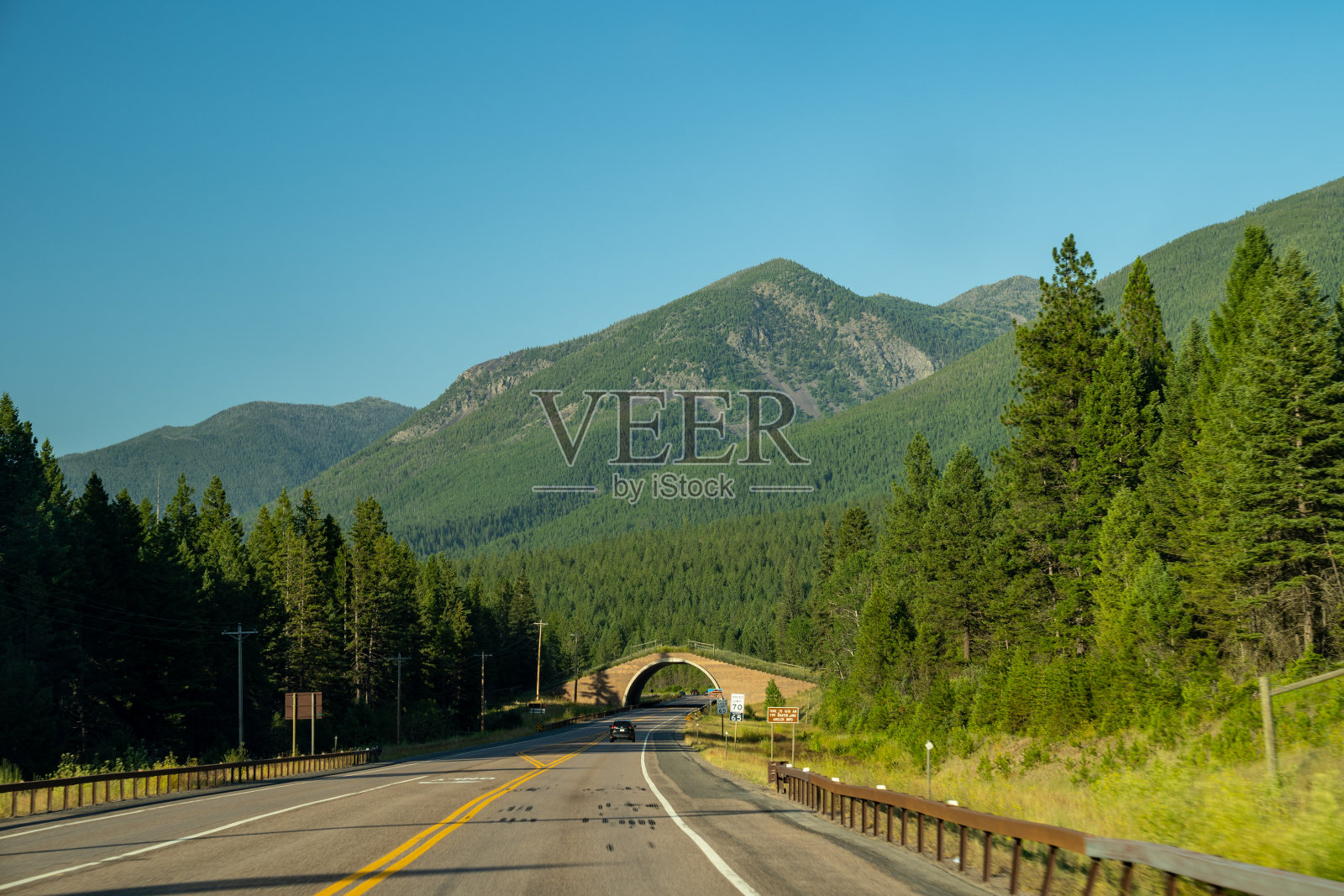 野生动物正在穿越蒙大拿平头保护区93号公路上的桥梁，允许野生动物继续历史上的迁徙路线照片摄影图片