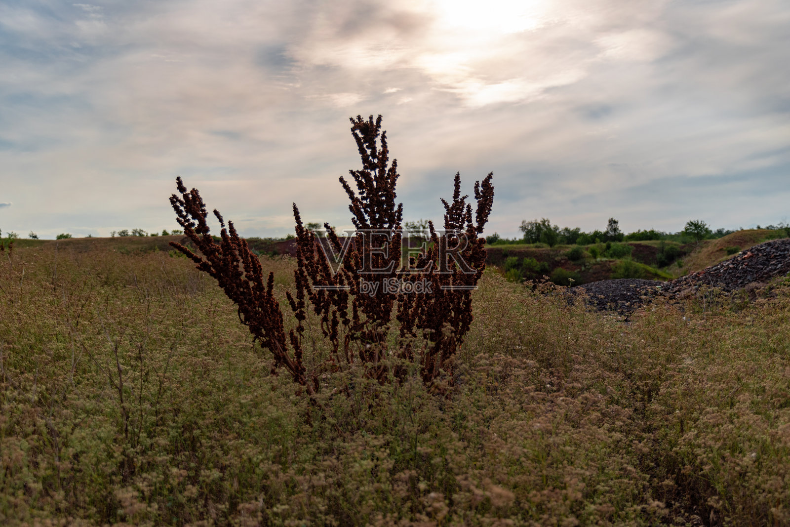 美丽的公园照片摄影图片