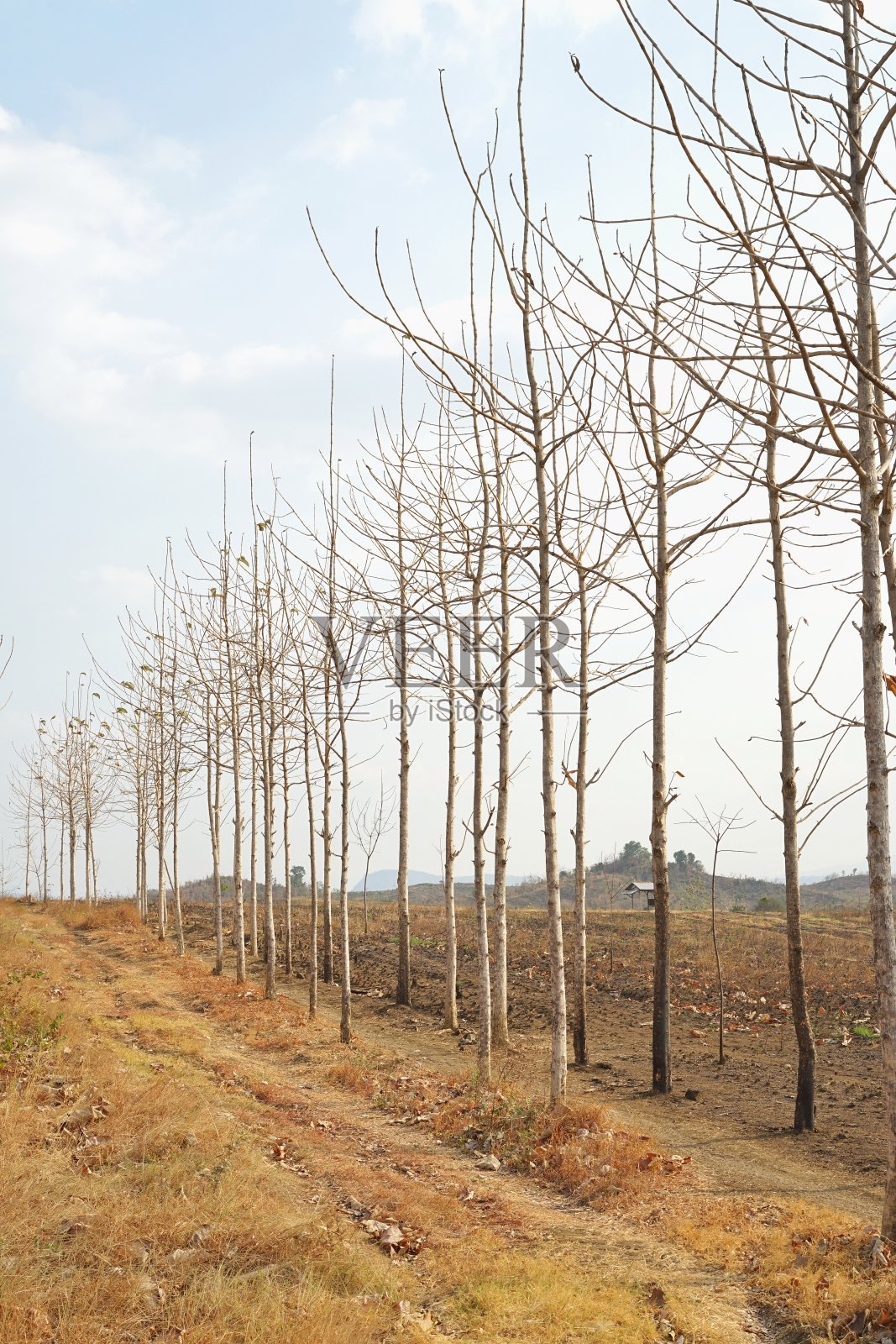 背景和抽象照片摄影图片
