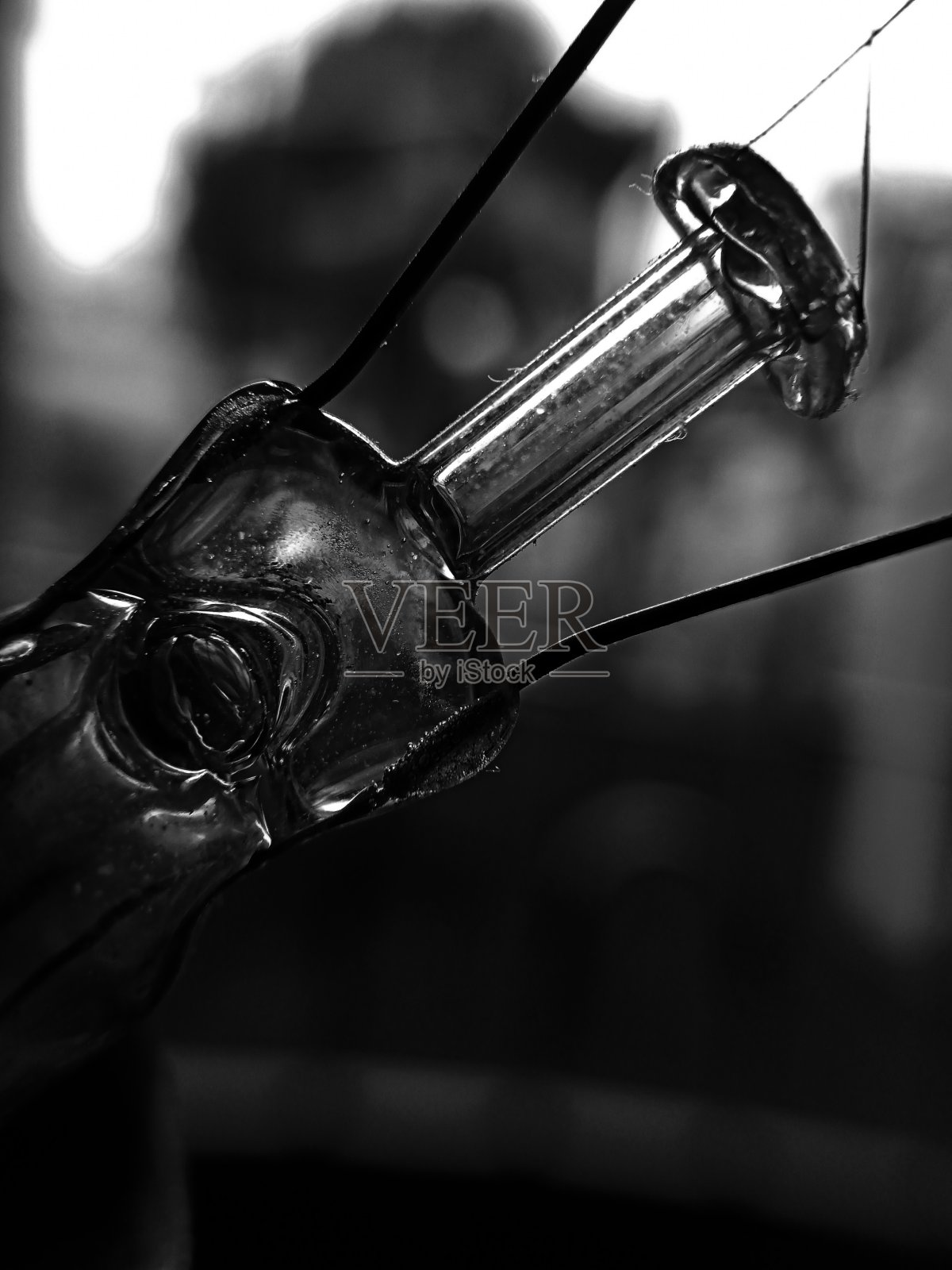 眼镜。照片摄影图片