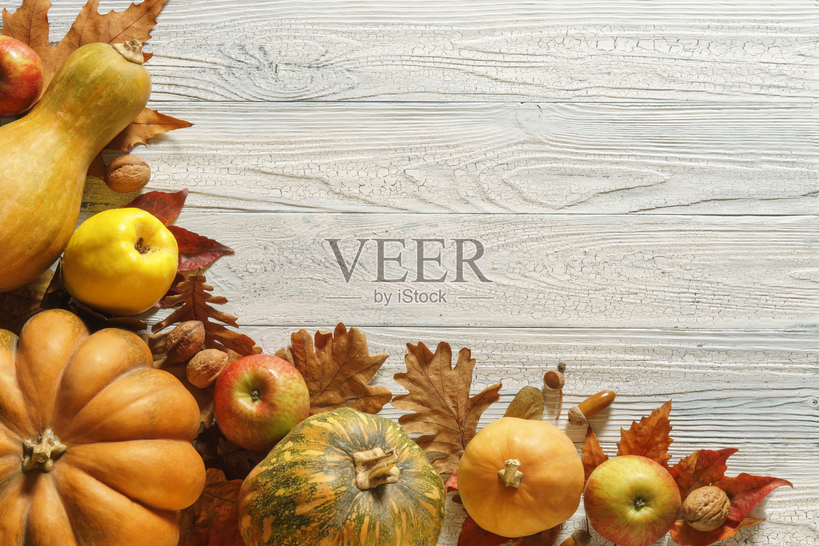 秋天的构图与复制空间。感恩节或万圣节的概念。照片摄影图片