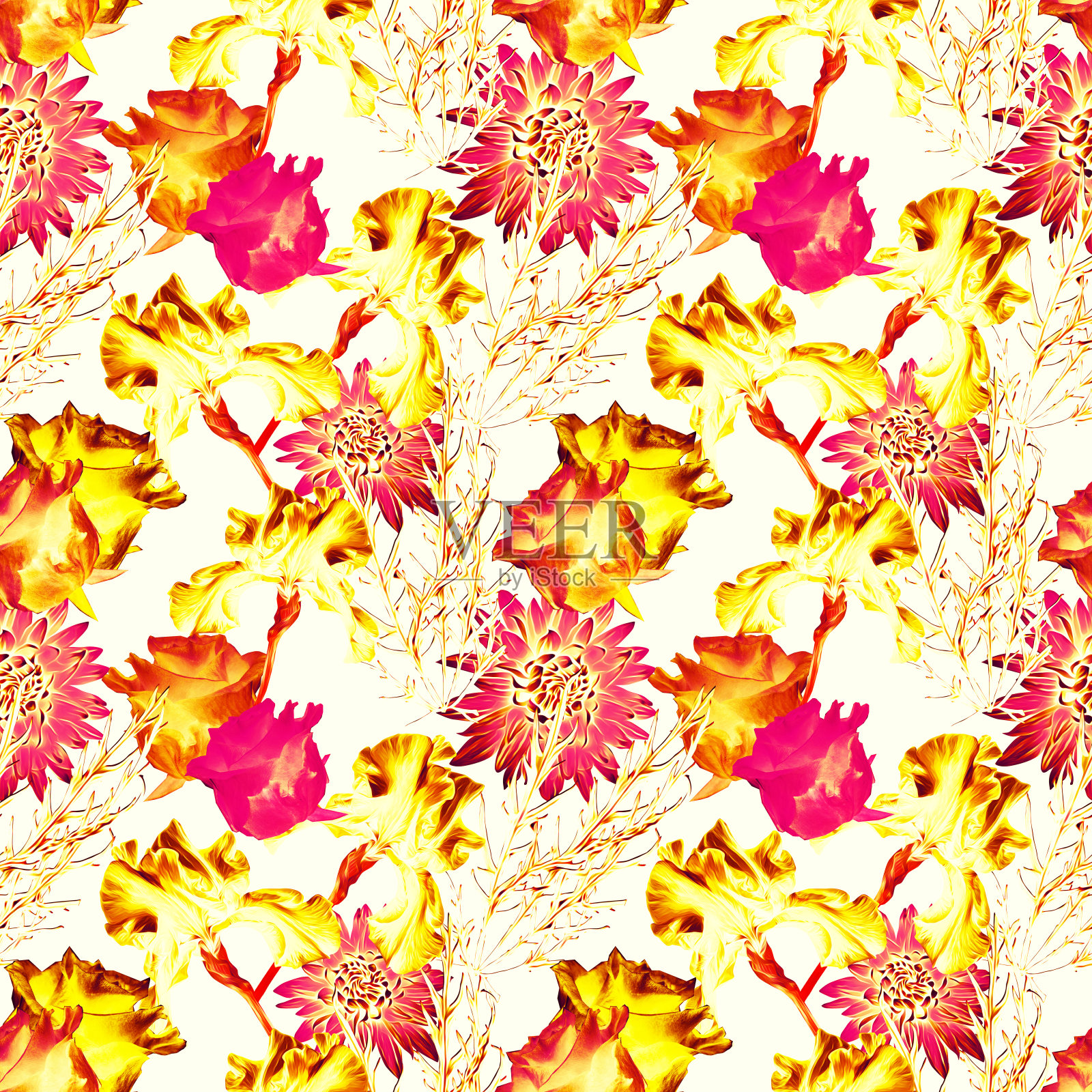 夏季花与鸢尾、玫瑰、菊苣，图案无缝。插画图片素材