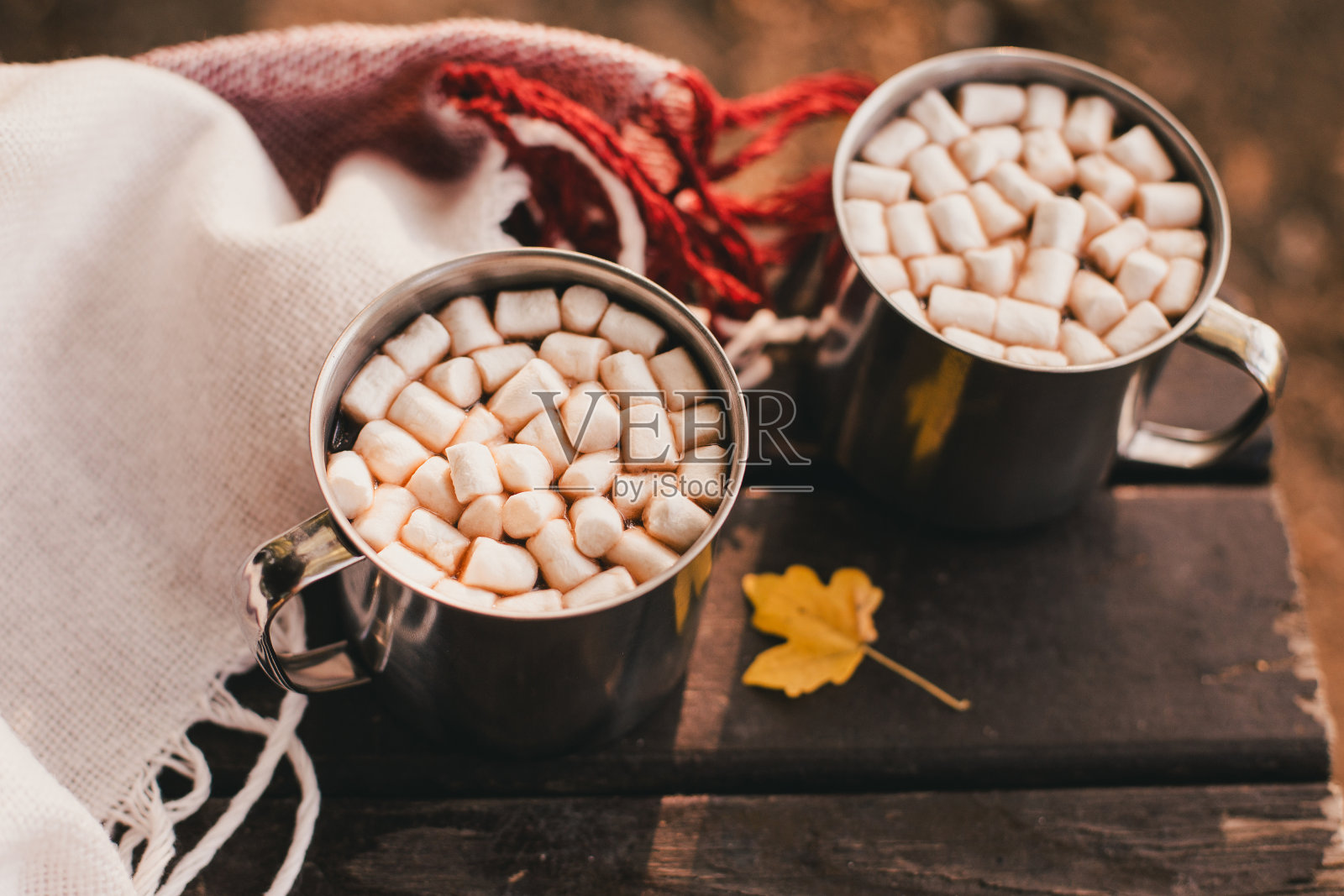 香甜的可可和棉花糖站在秋天森林的红毯上照片摄影图片