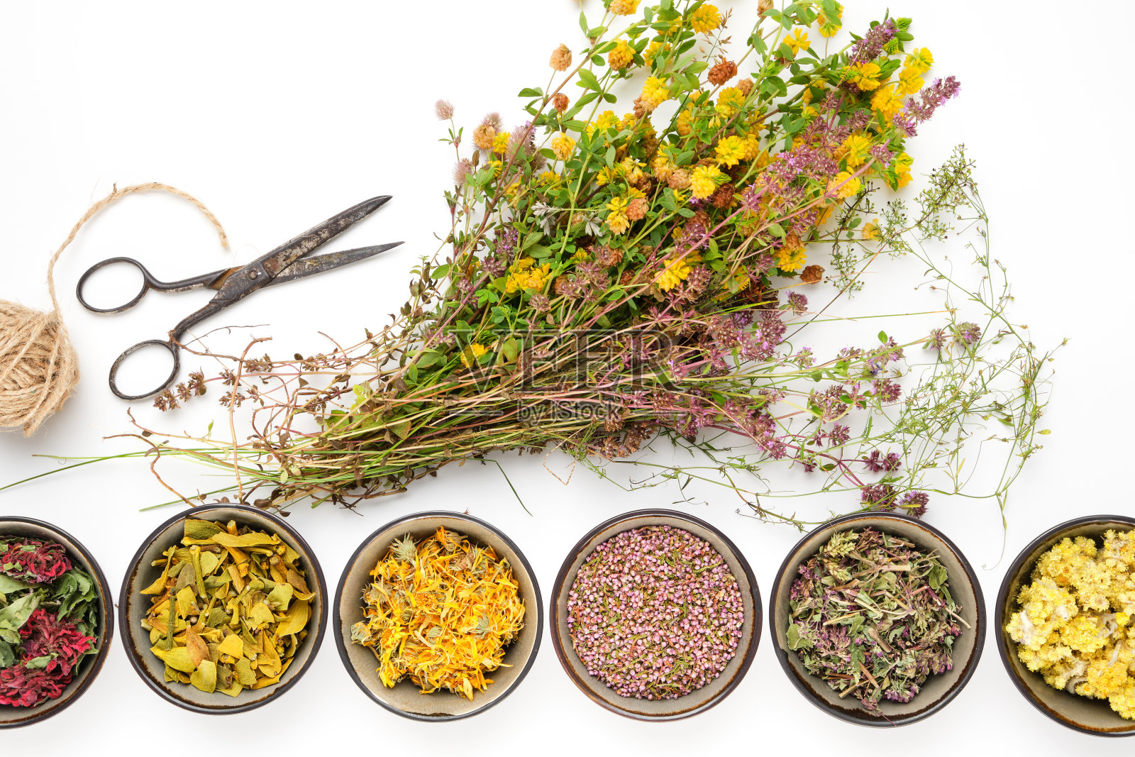 一束药草，一排干药草碗，白底。俯视图，平放。替代医学。照片摄影图片