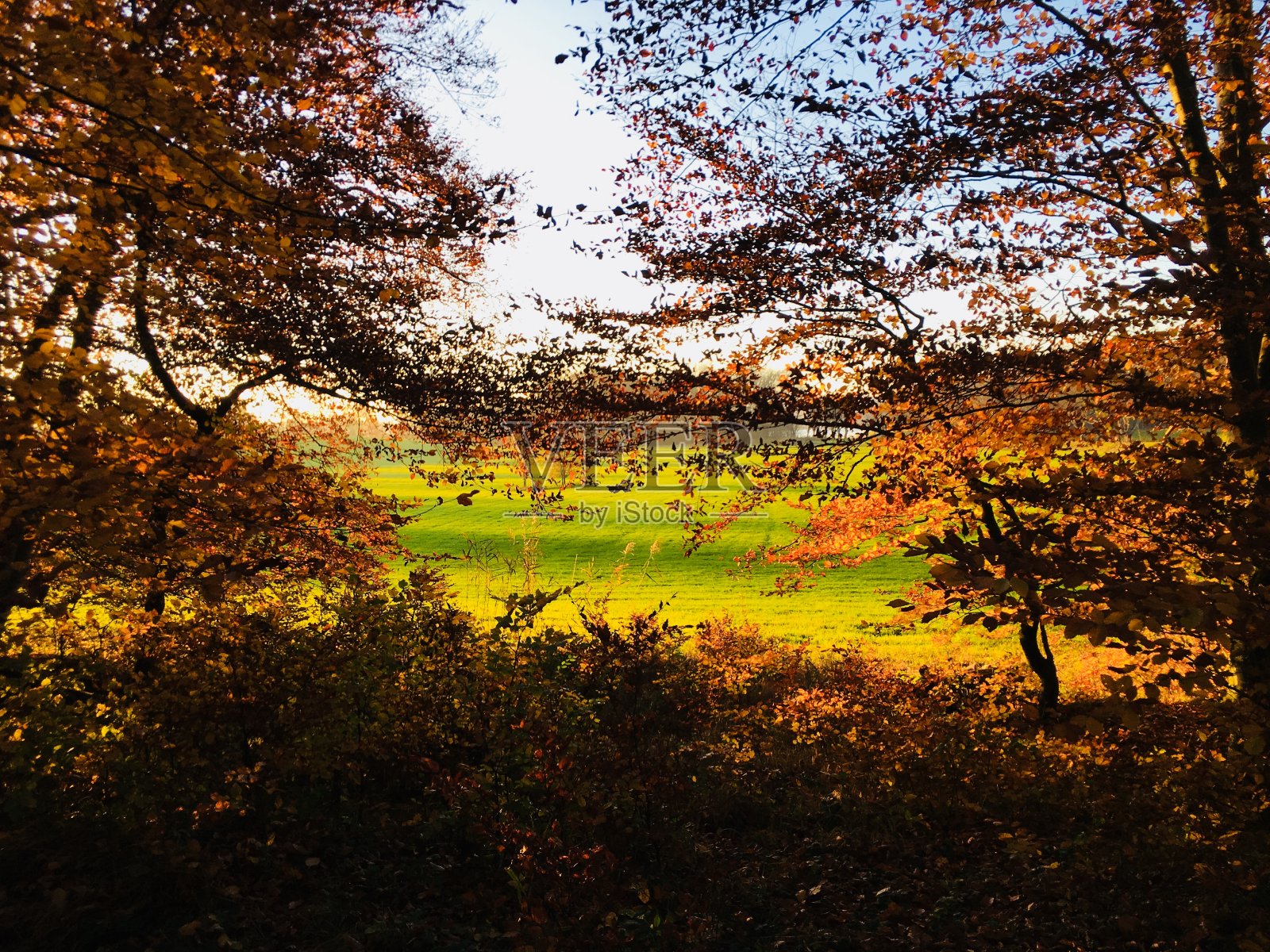 Chiemsee是德国巴伐利亚州靠近罗森海姆的一个淡水湖。它通常被称为“巴伐利亚海”。照片摄影图片