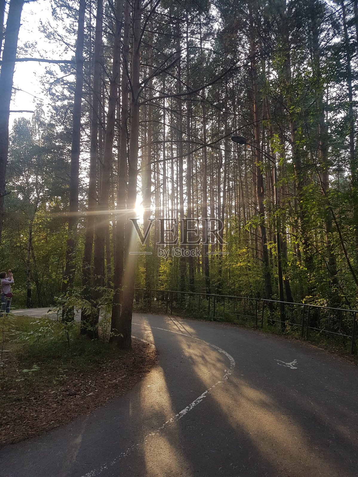 自然照片摄影图片