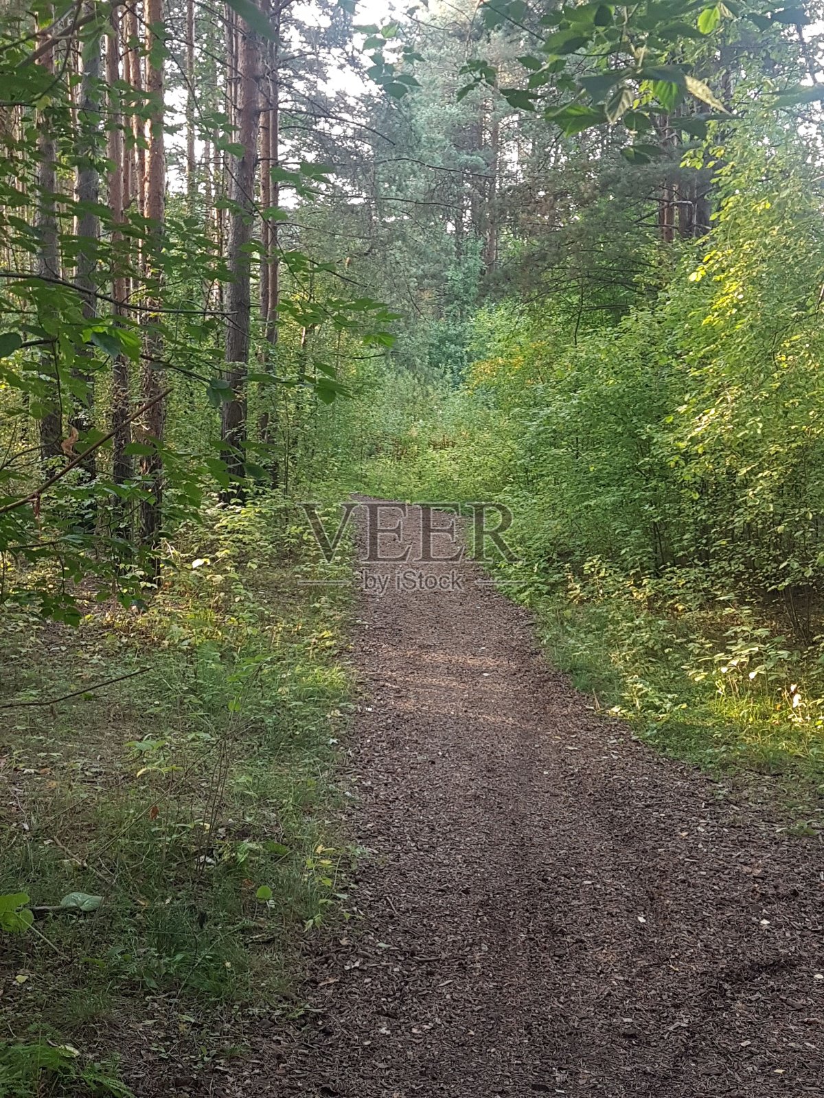 自然照片摄影图片