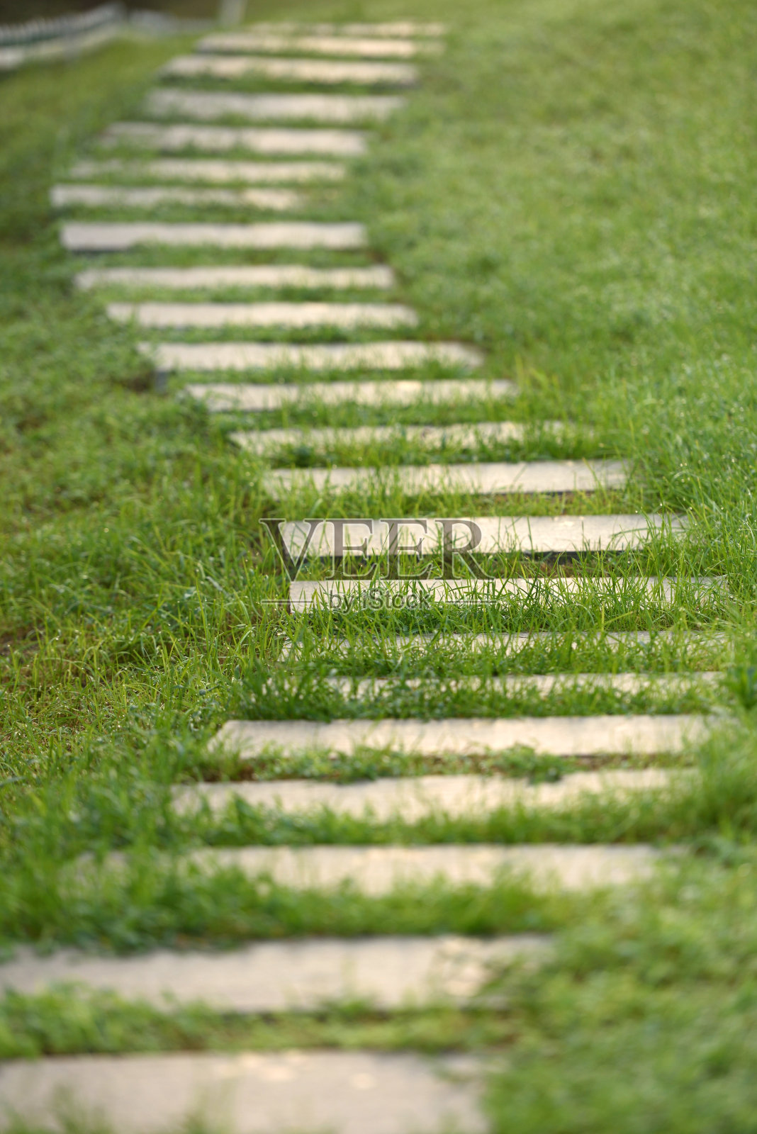 蜿蜒的石路躺在草丛中照片摄影图片