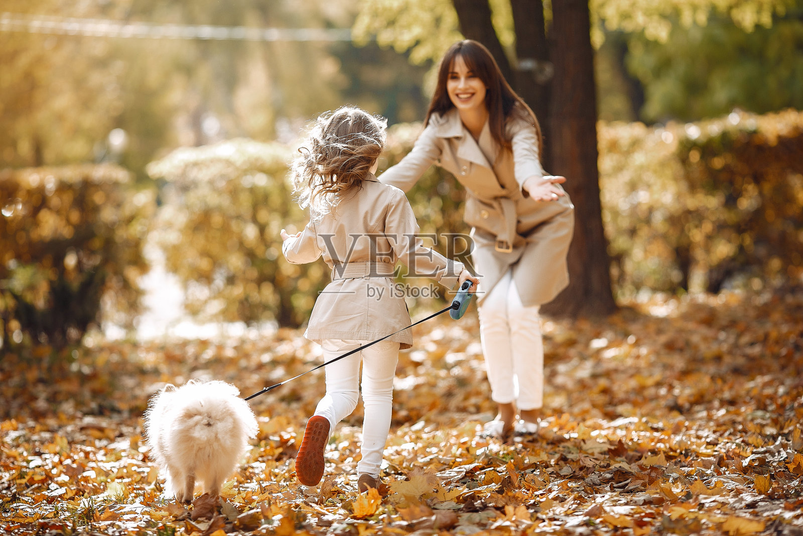 可爱和时尚的家庭在秋天的公园照片摄影图片