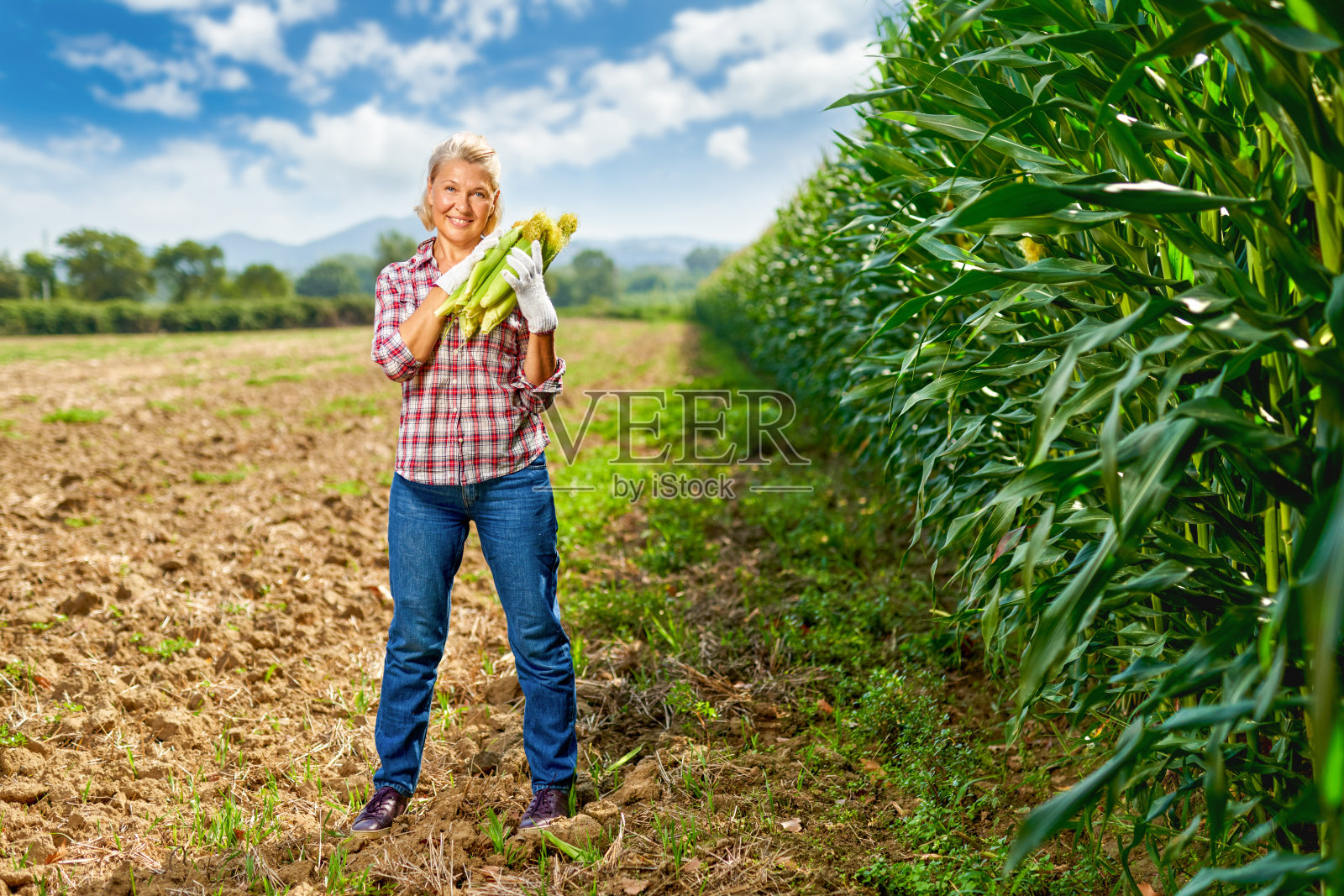 一个种着玉米的女农民照片摄影图片
