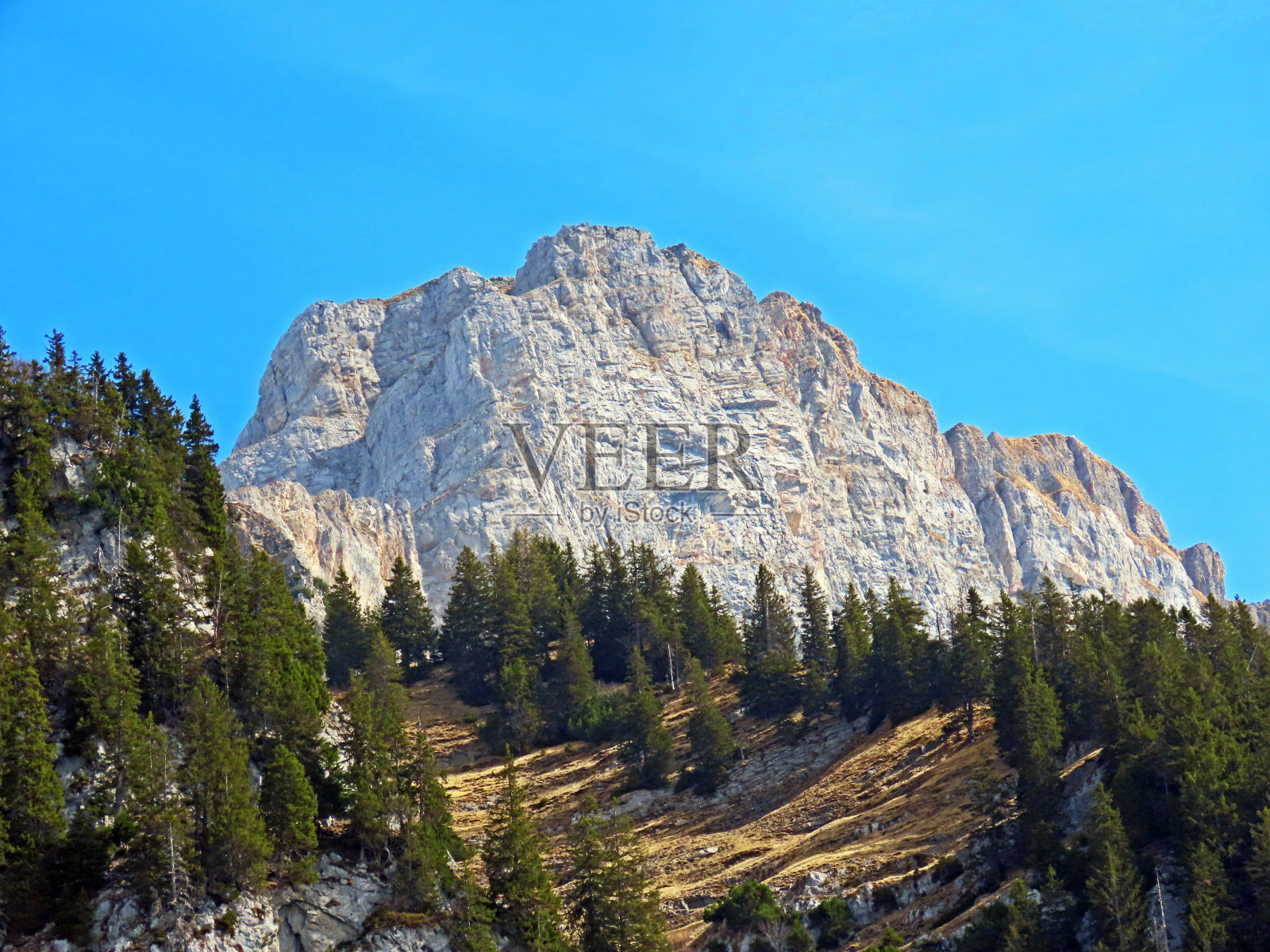 瑞士圣加伦州瓦伦施塔特堡(瑞士)的坎顿圣加伦(坎顿圣加伦)。照片摄影图片