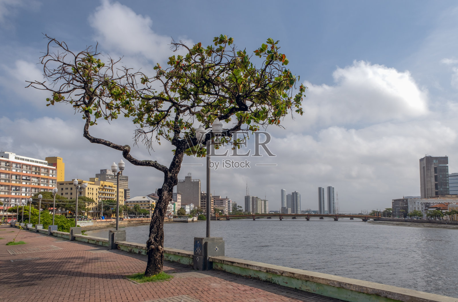 从累西腓市中心观看照片摄影图片