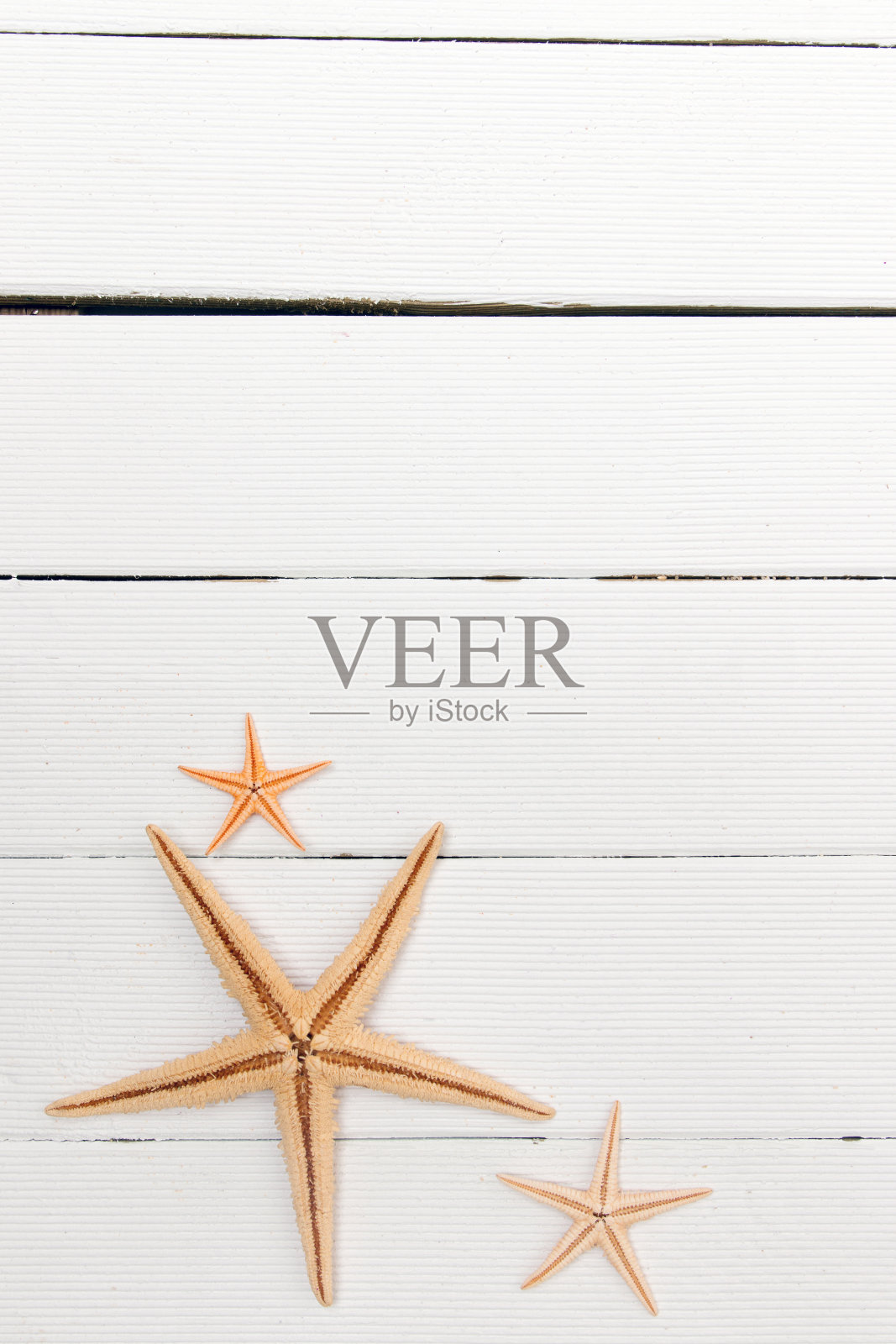 白木上的海星照片摄影图片