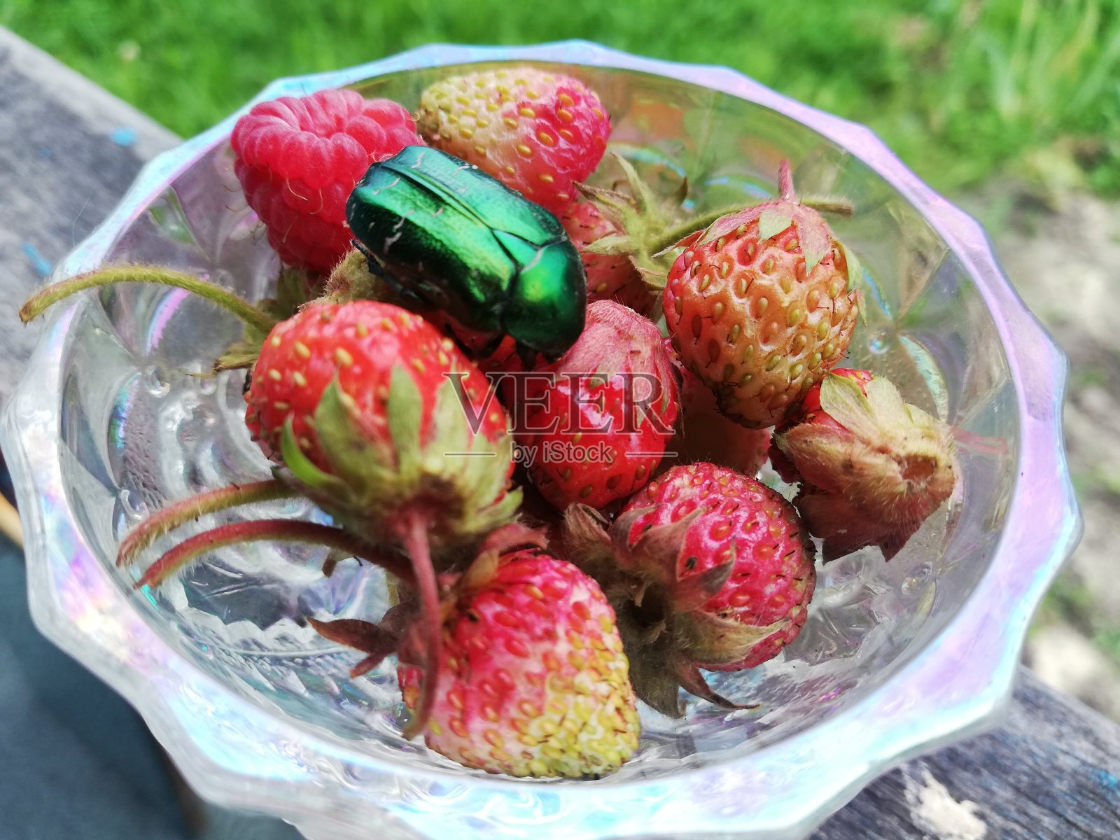 草莓照片摄影图片