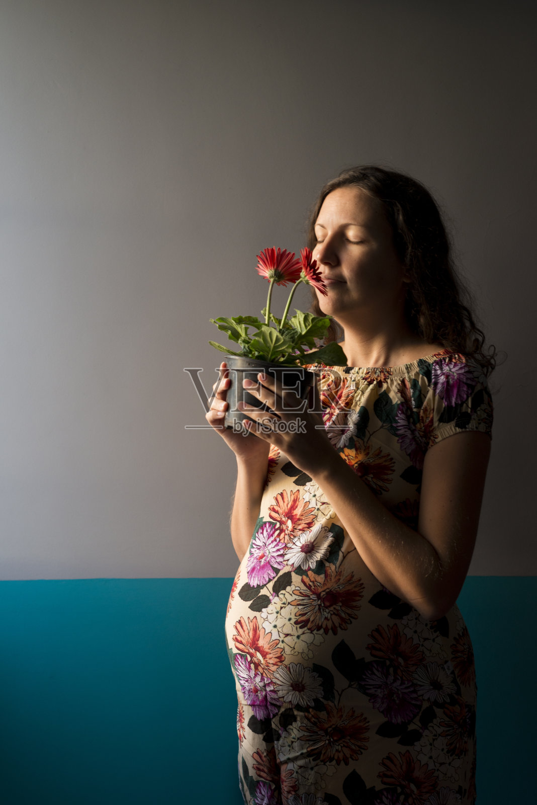 孕妇在闻红花香水照片摄影图片