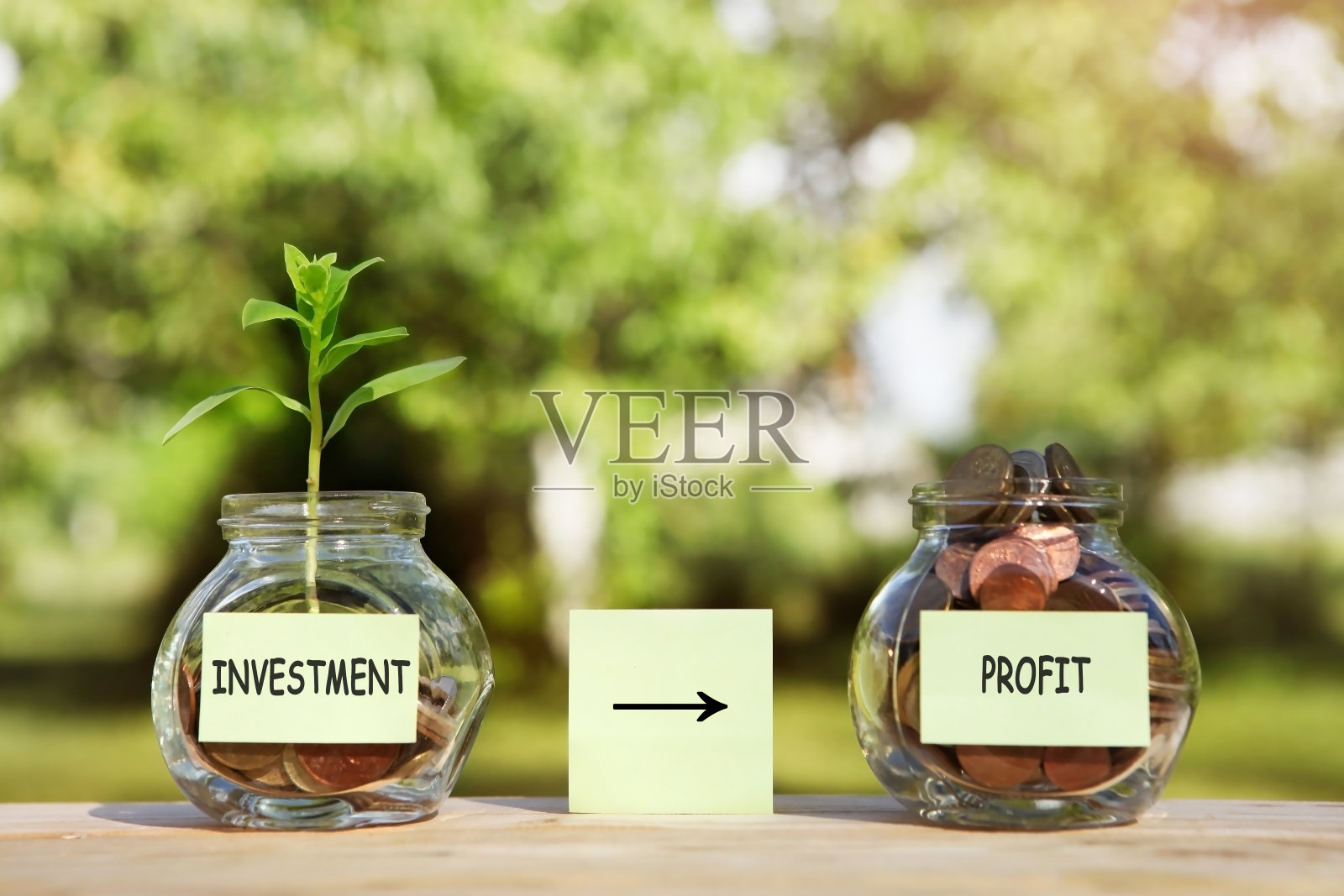 投资，利润贴纸上的玻璃罐，硬币和一株植物在其中之一。金融投资概念。照片摄影图片