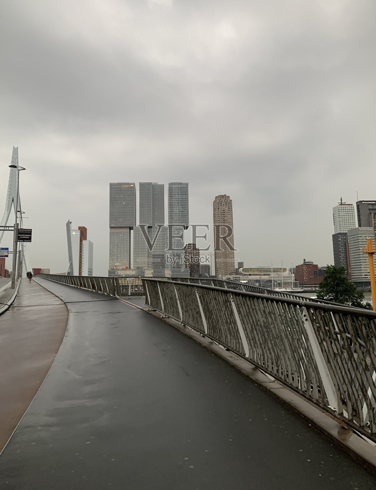 鹿特丹的伊拉斯姆斯桥或伊拉斯姆斯布鲁格(Erasmus Bridge)，以集中式企业建筑和城市金融生活的商业区为视角。照片摄影图片