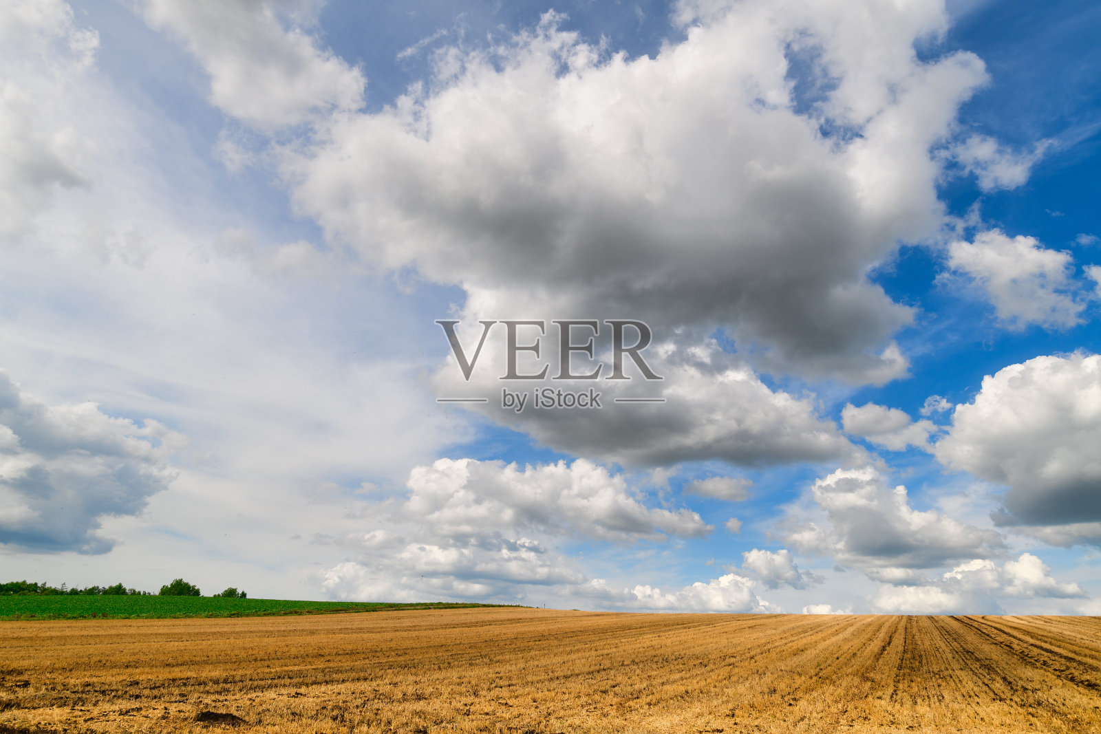 夏天去北海道。照片摄影图片