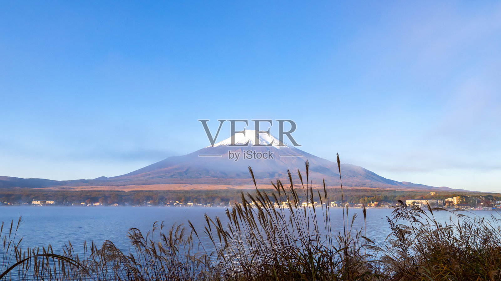 富士山景观和湖边的草花照片摄影图片