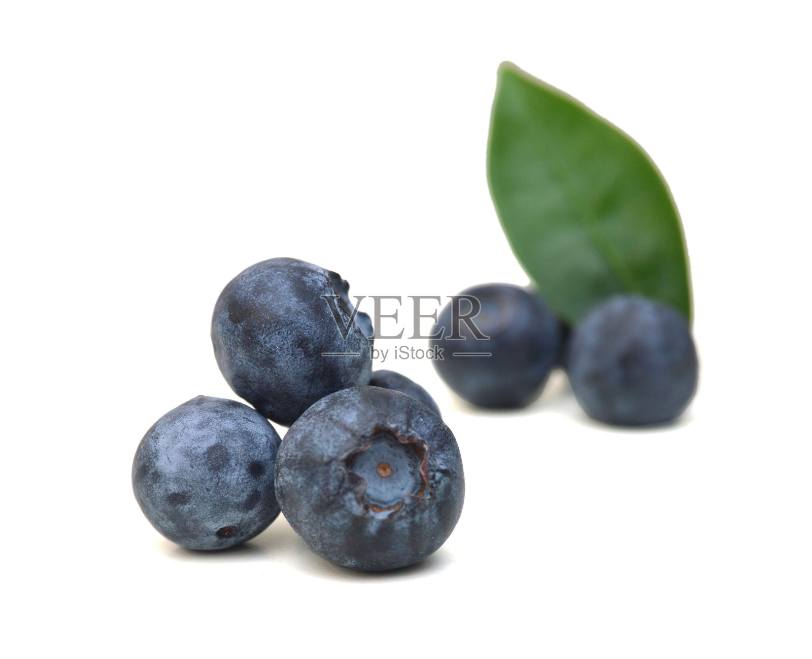 白色背景上的蓝莓照片摄影图片