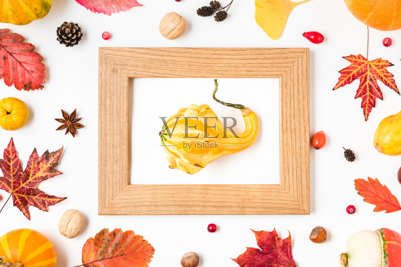 秋天或感恩节的背景。由干叶子，南瓜，花，浆果，坚果，球果制成。平躺照片摄影图片