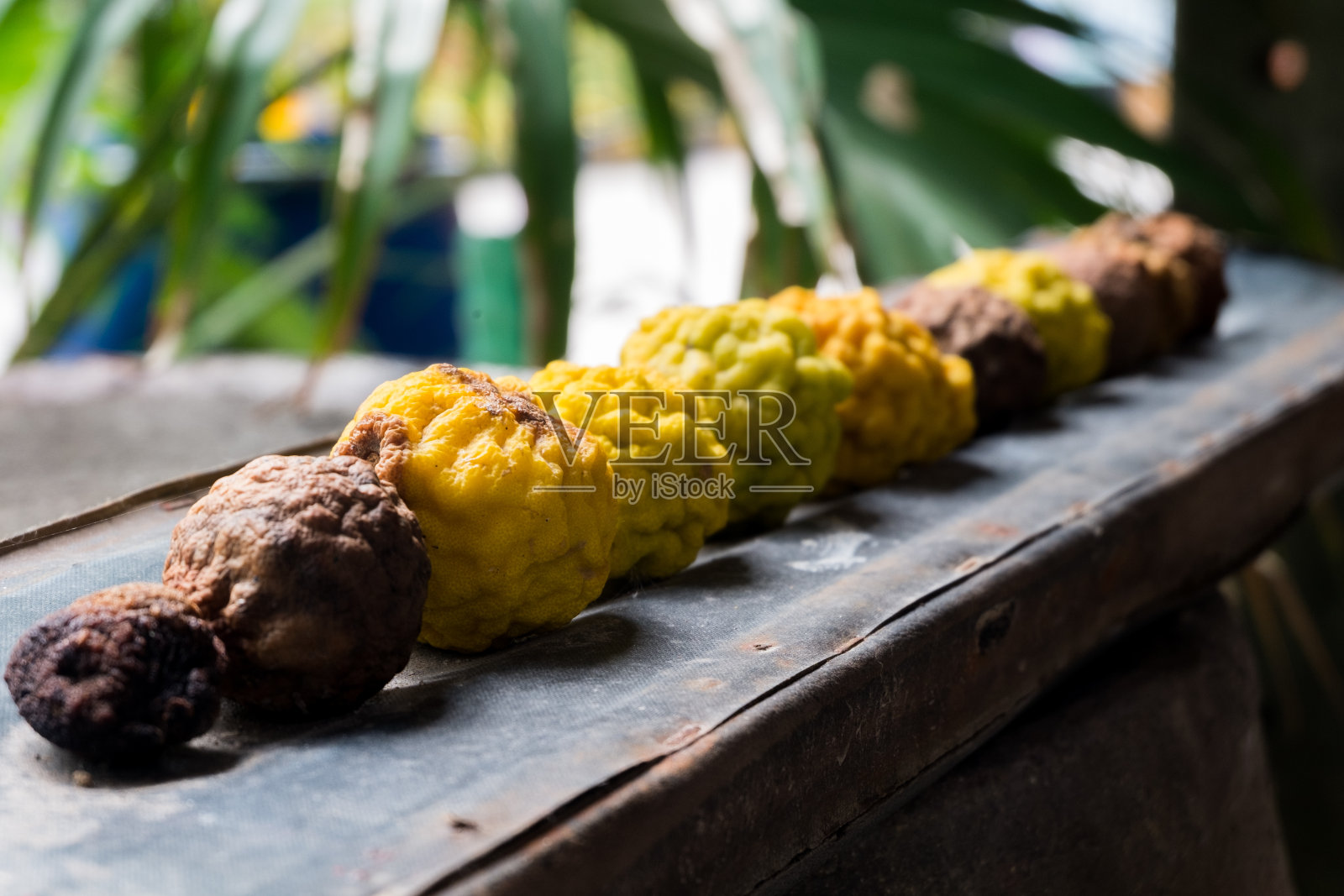 木板上的石灰。照片摄影图片