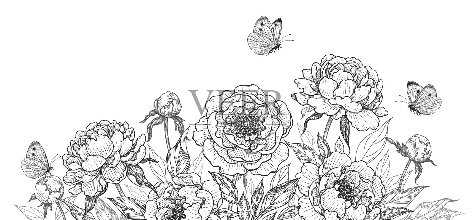 水平背景与盛开的牡丹和蝴蝶。插画图片素材