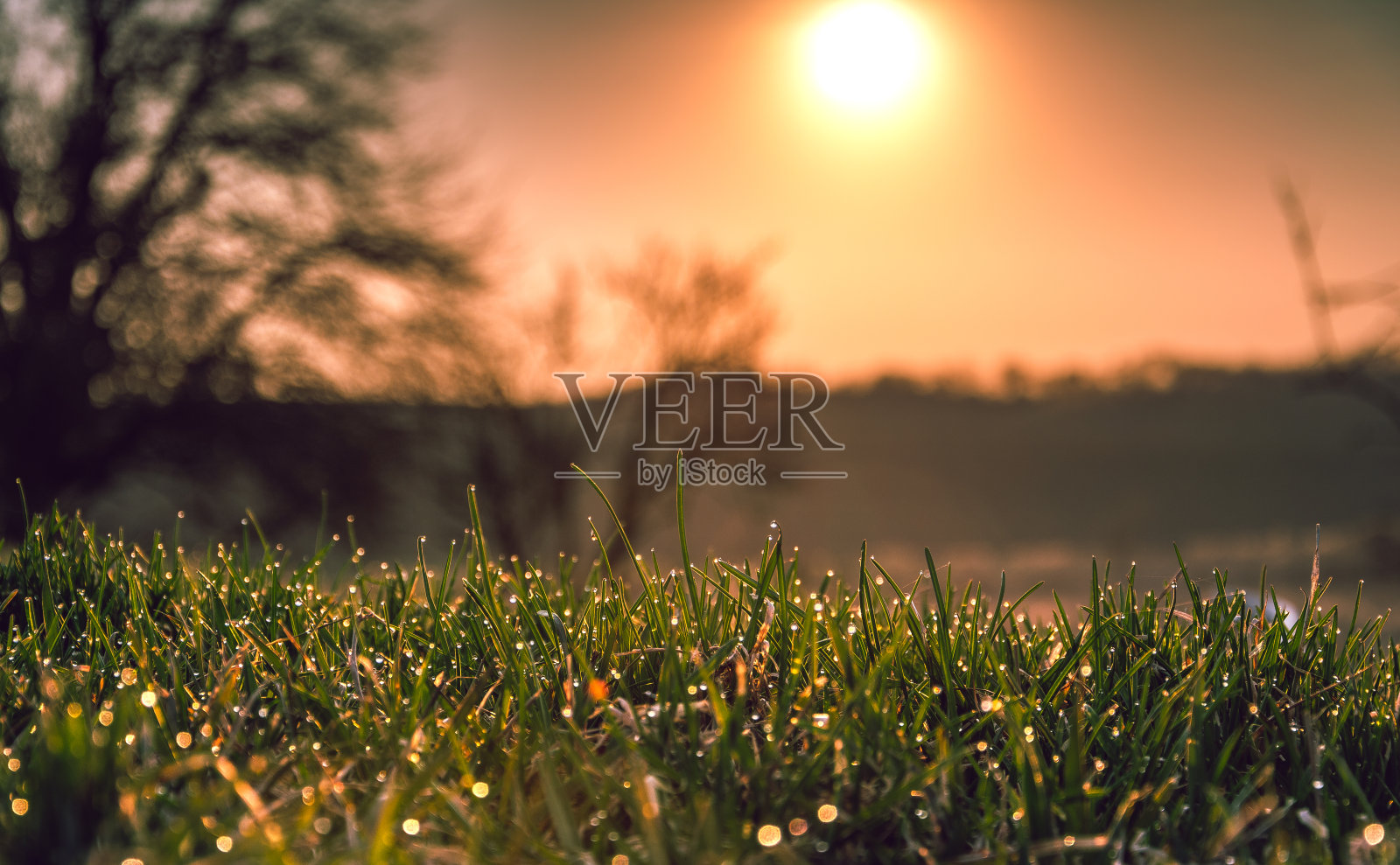 自然之美照片摄影图片