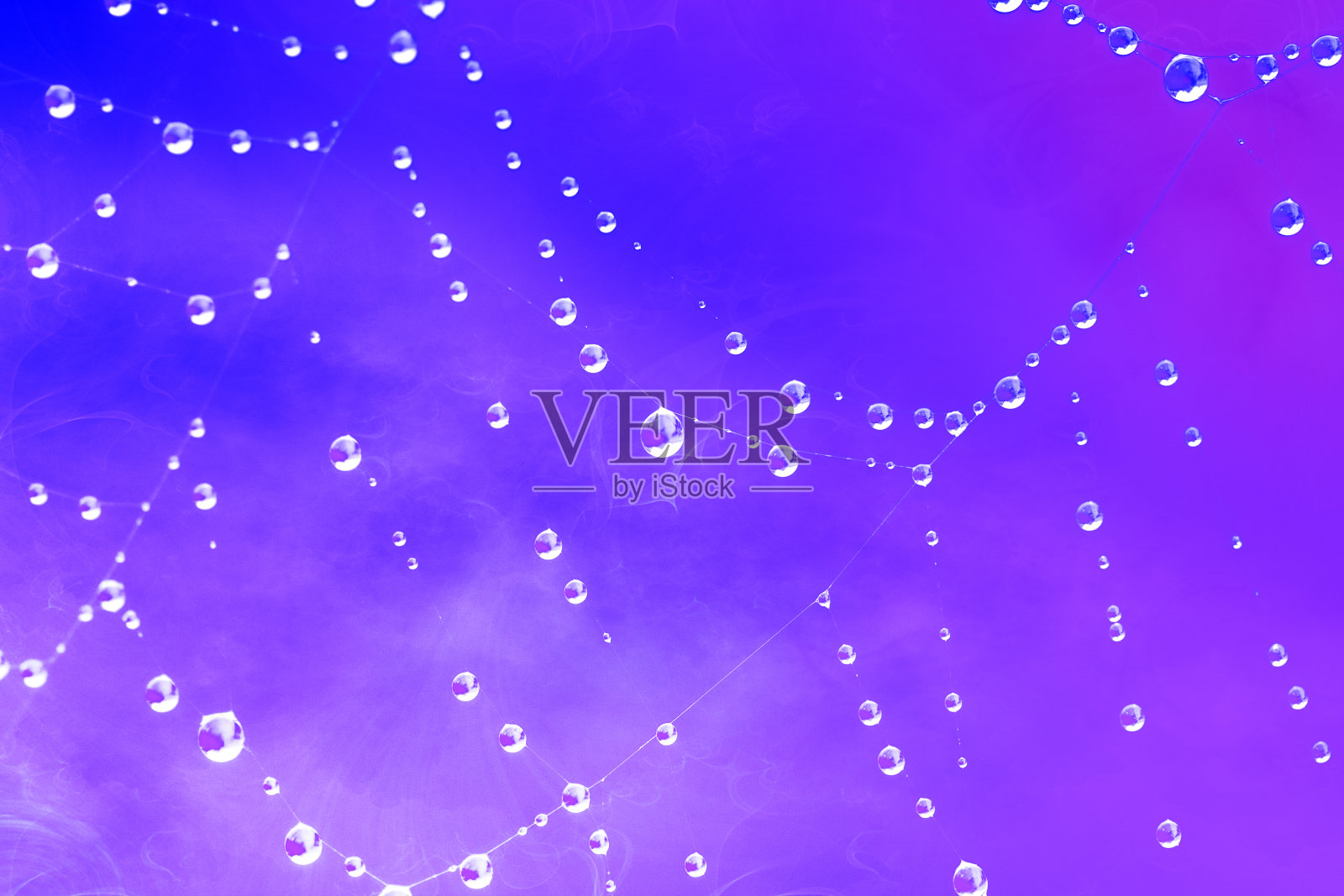 蜘蛛网与水滴在蓝色紫色烟雾背景抽象的背景照片摄影图片