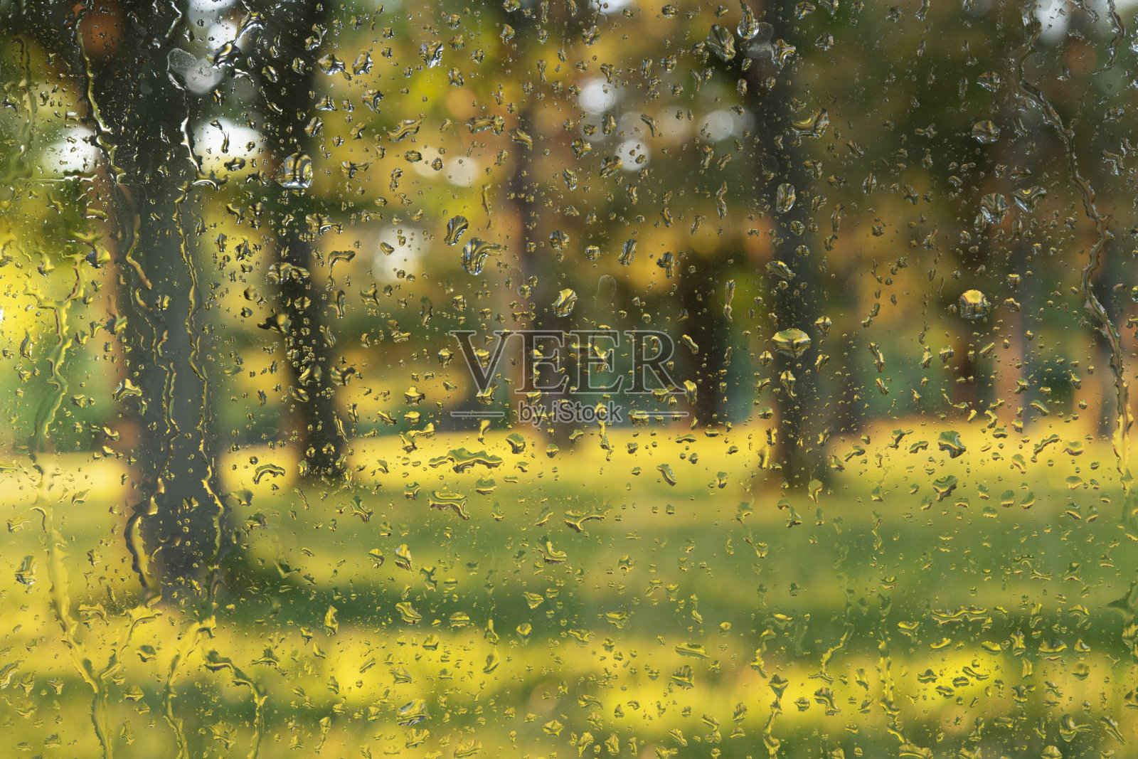 透过玻璃上的雨滴看到的树林照片摄影图片