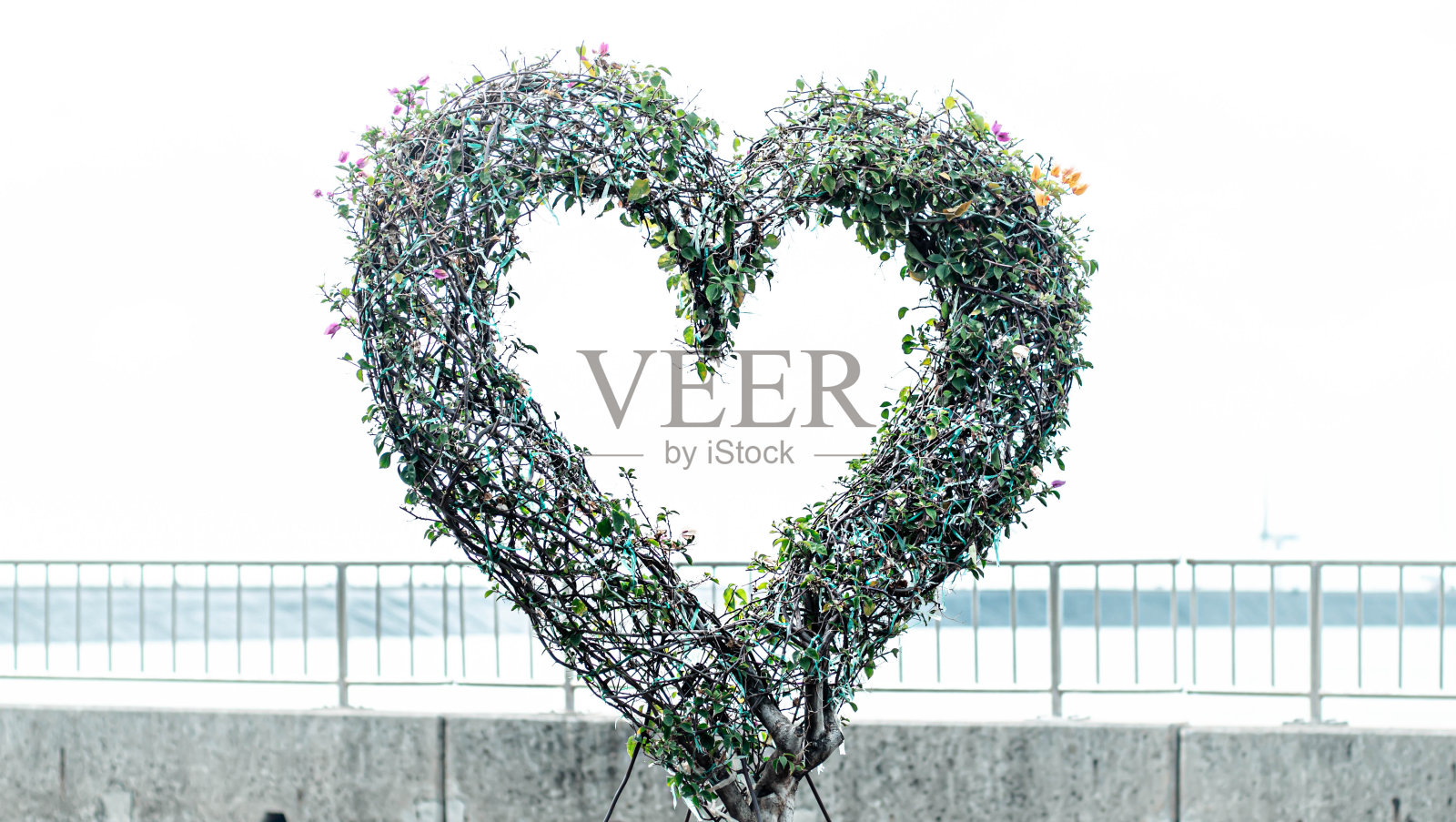 心形的大门用紫、粉、绿的九重葛装饰照片摄影图片