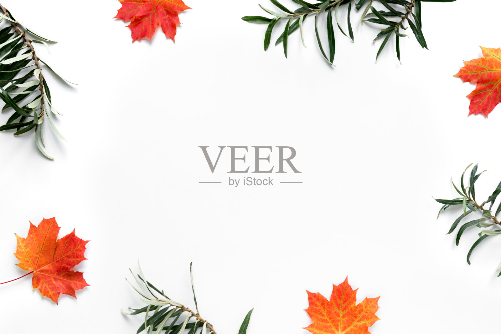 秋天的成分照片摄影图片