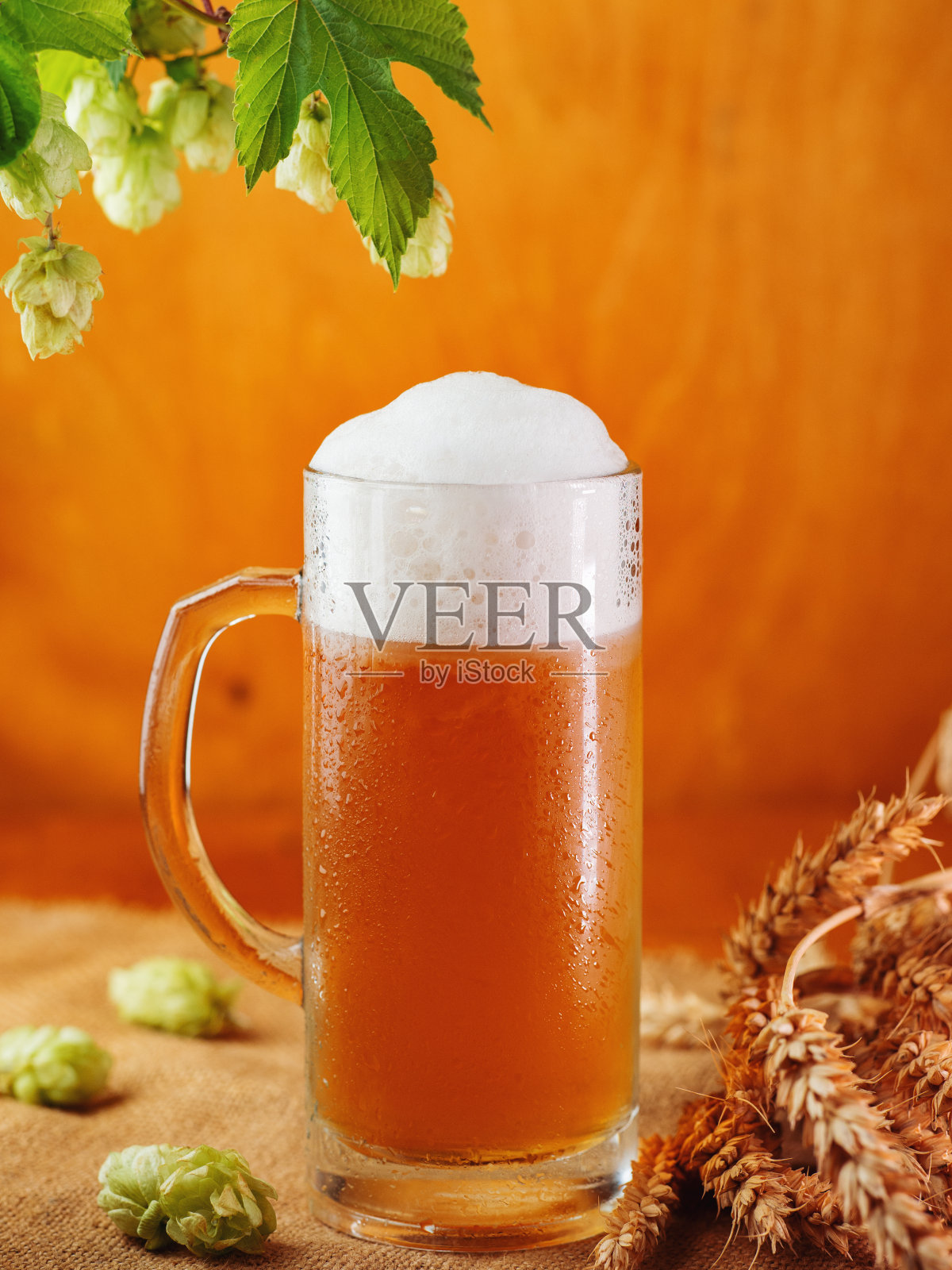 木桌上放着一杯泡沫小麦啤酒，上面放着麦穗和酒花球果照片摄影图片